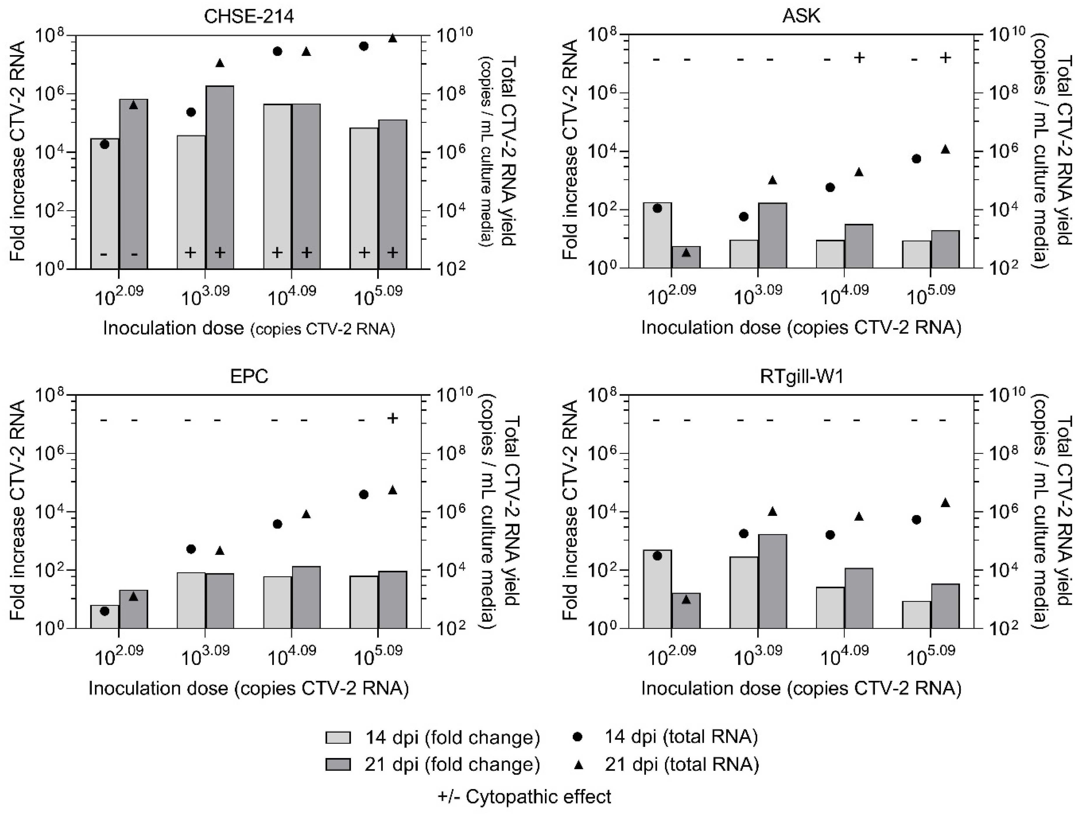 Viruses 13 01730 g006 550