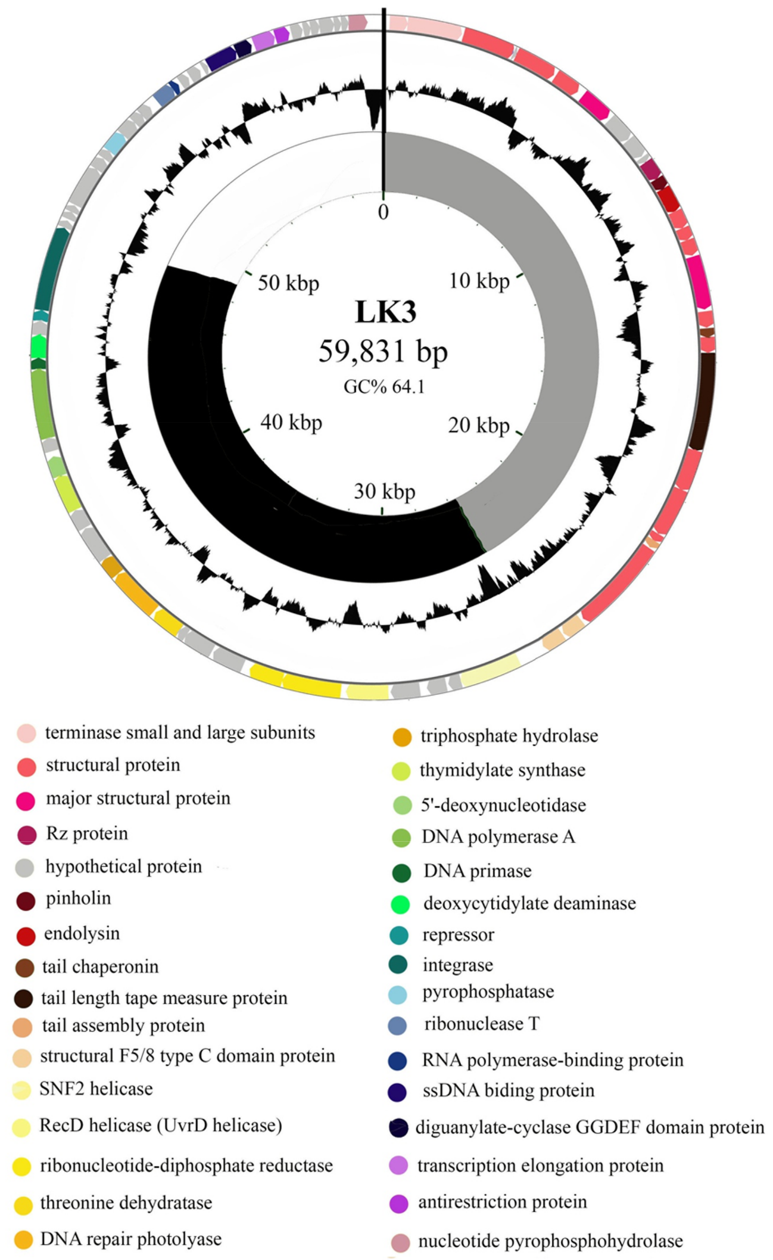 Viruses 13 01732 g001