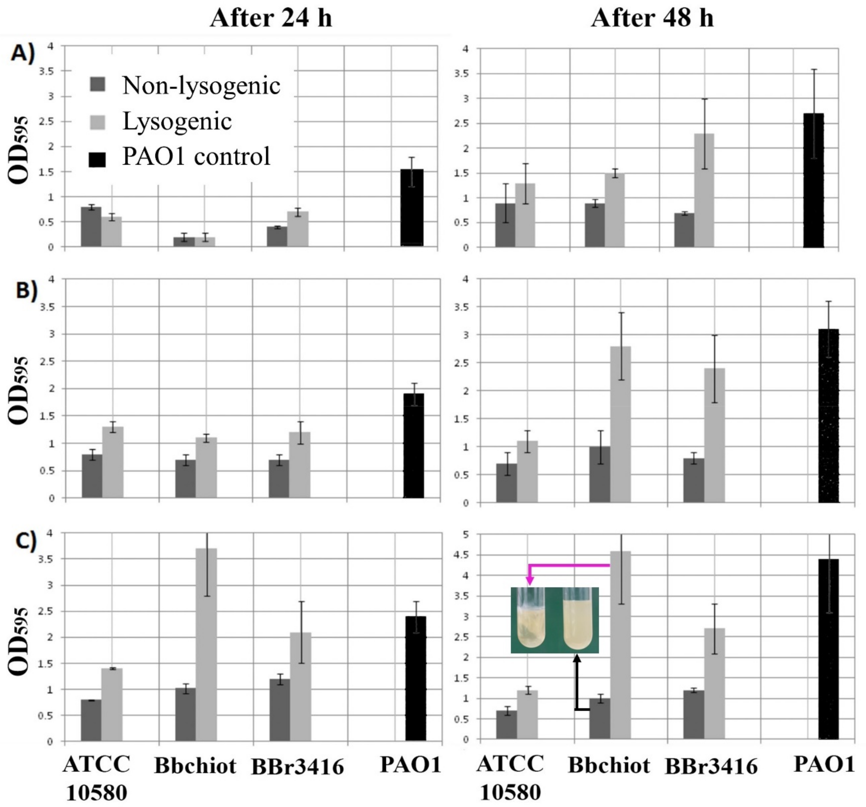 Viruses 13 01732 g006