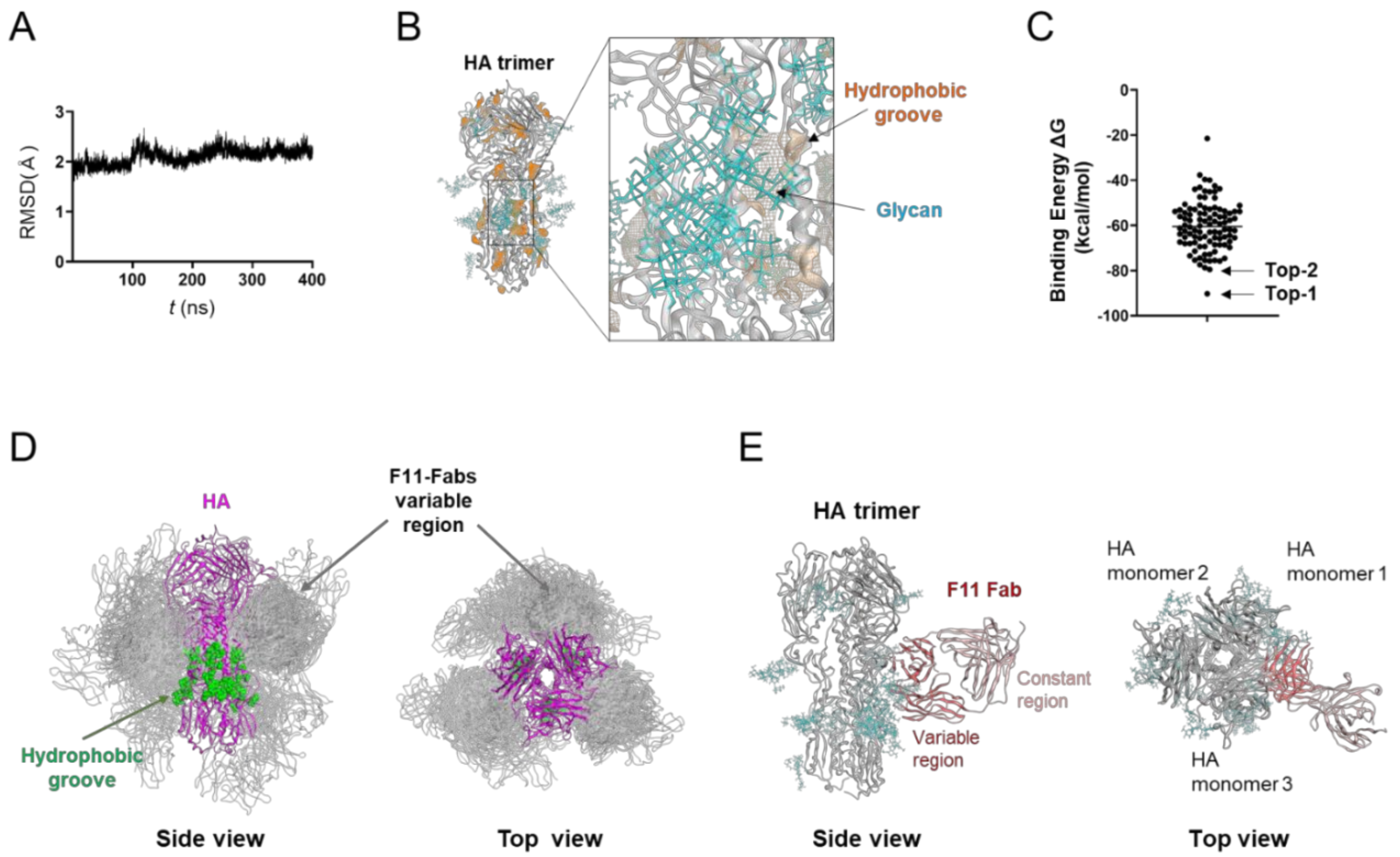 Viruses 13 01733 g001