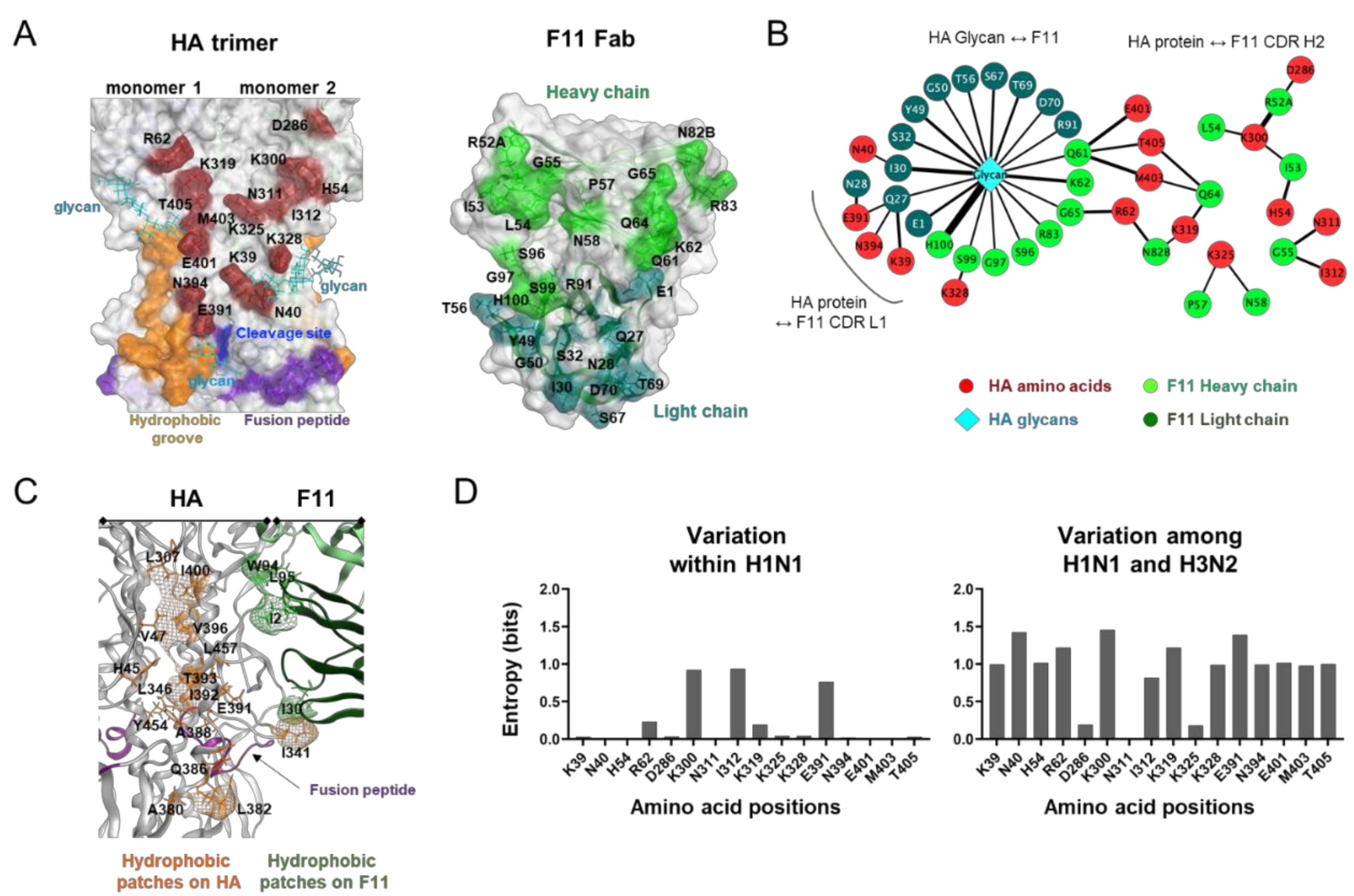 Viruses 13 01733 g003