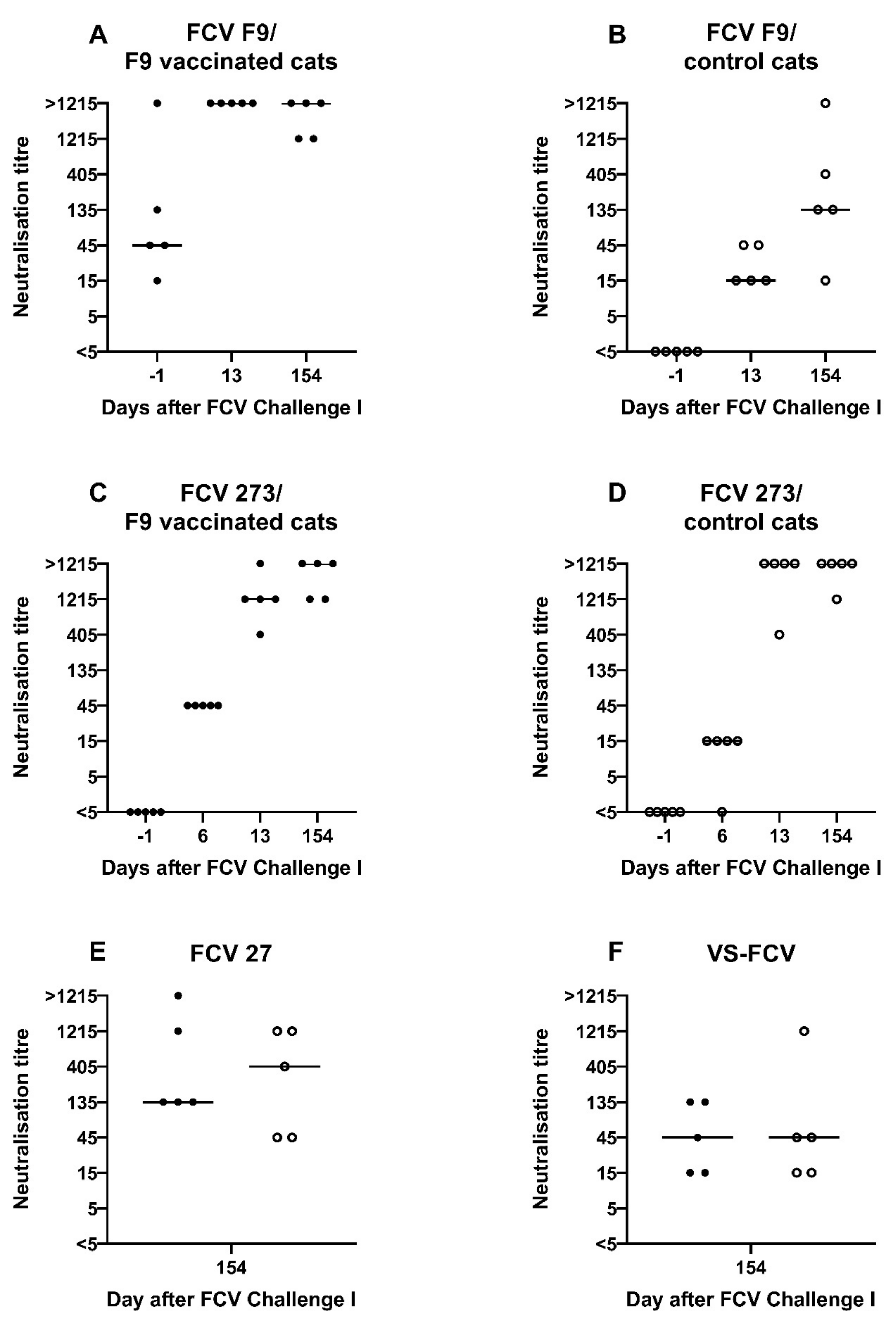 Viruses | Free Full-Text | Modified-Live Feline Calicivirus Vaccination  Elicits Cellular Immunity against a Current Feline Calicivirus Field Strain  in an Experimental Feline Challenge Study