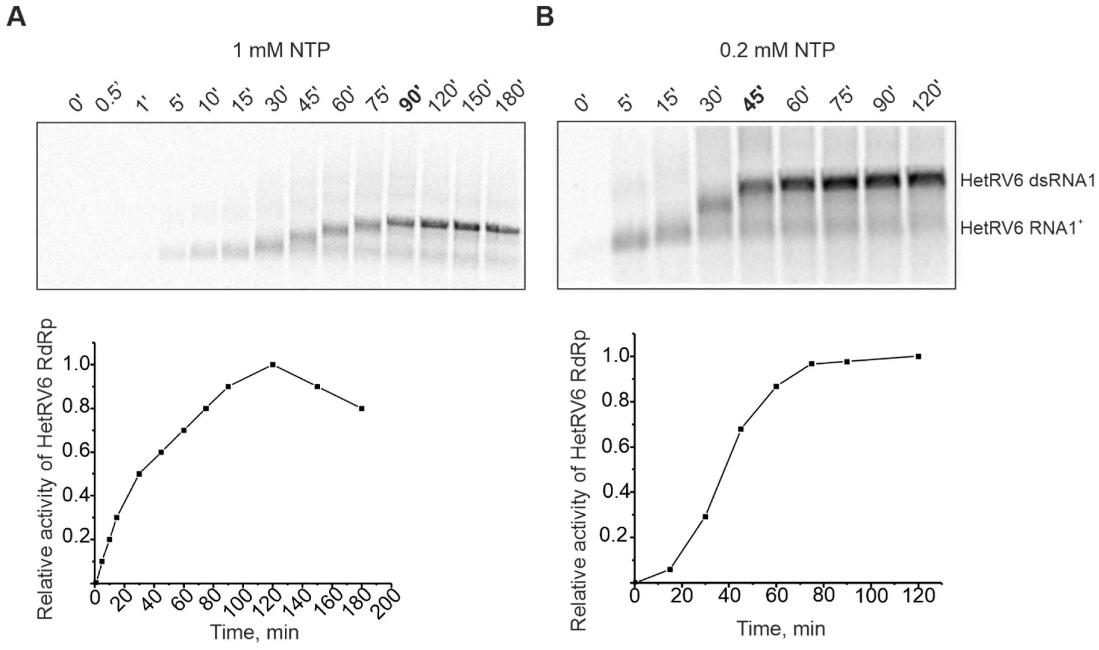 Viruses 13 01738 g003