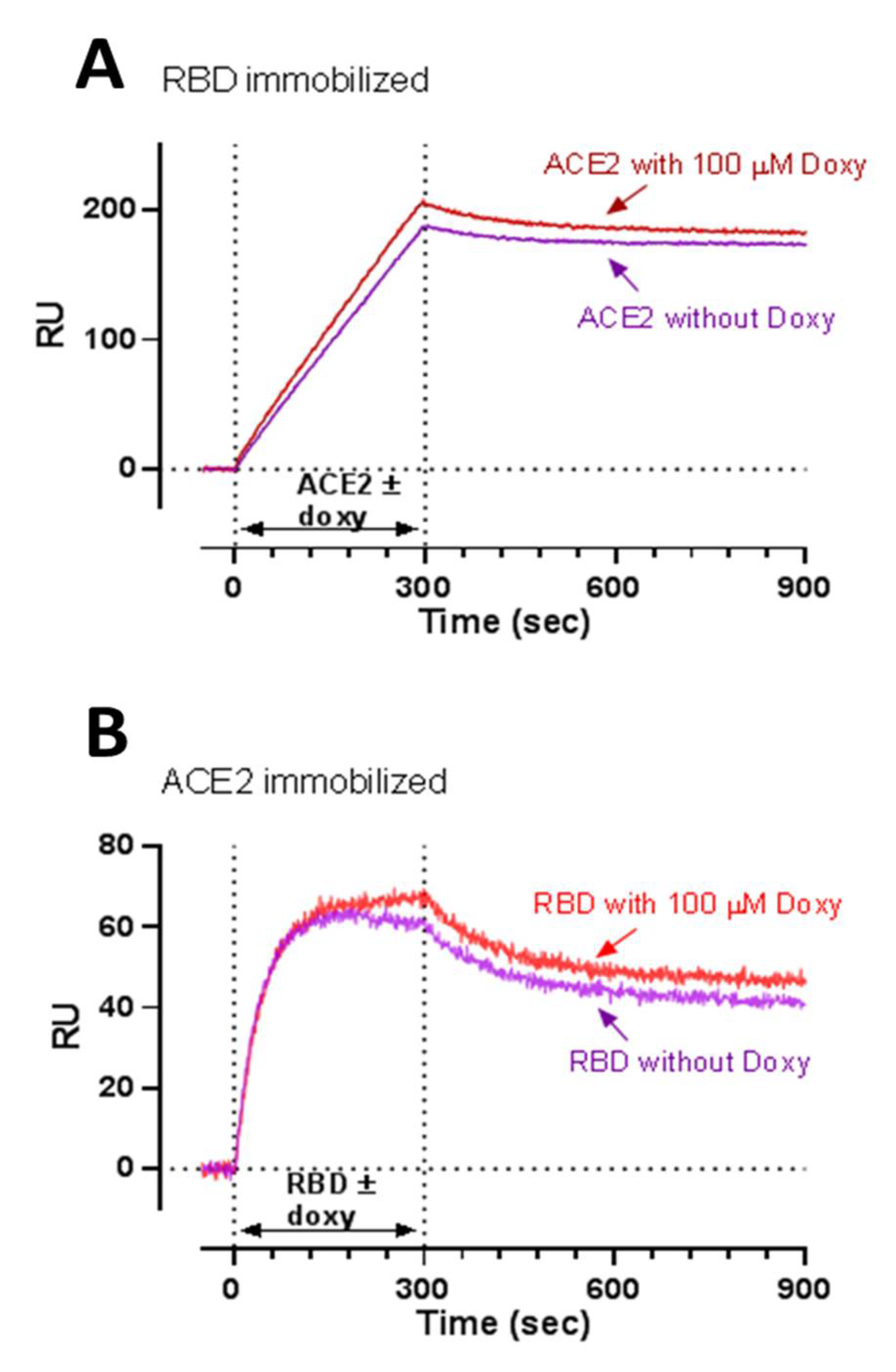 Viruses 13 01745 g002 550