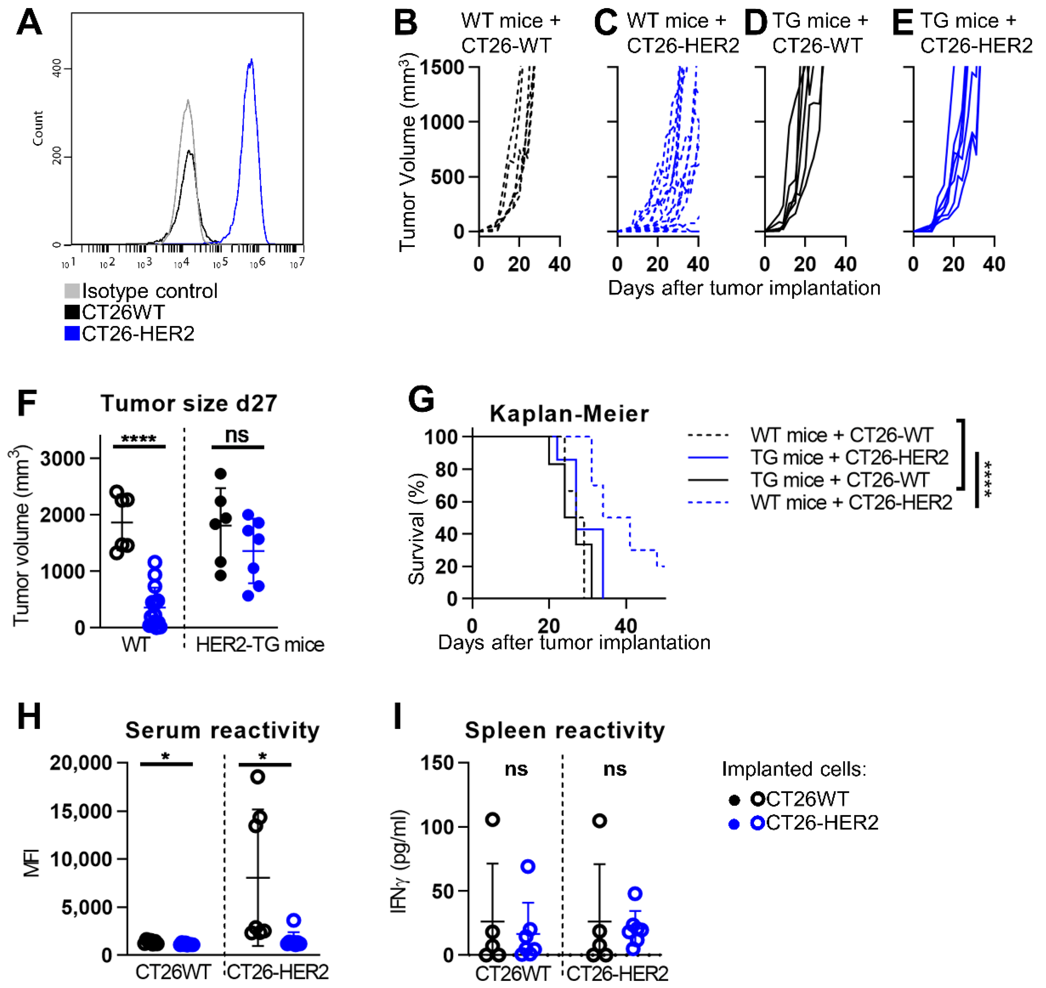 Viruses 13 01747 g001