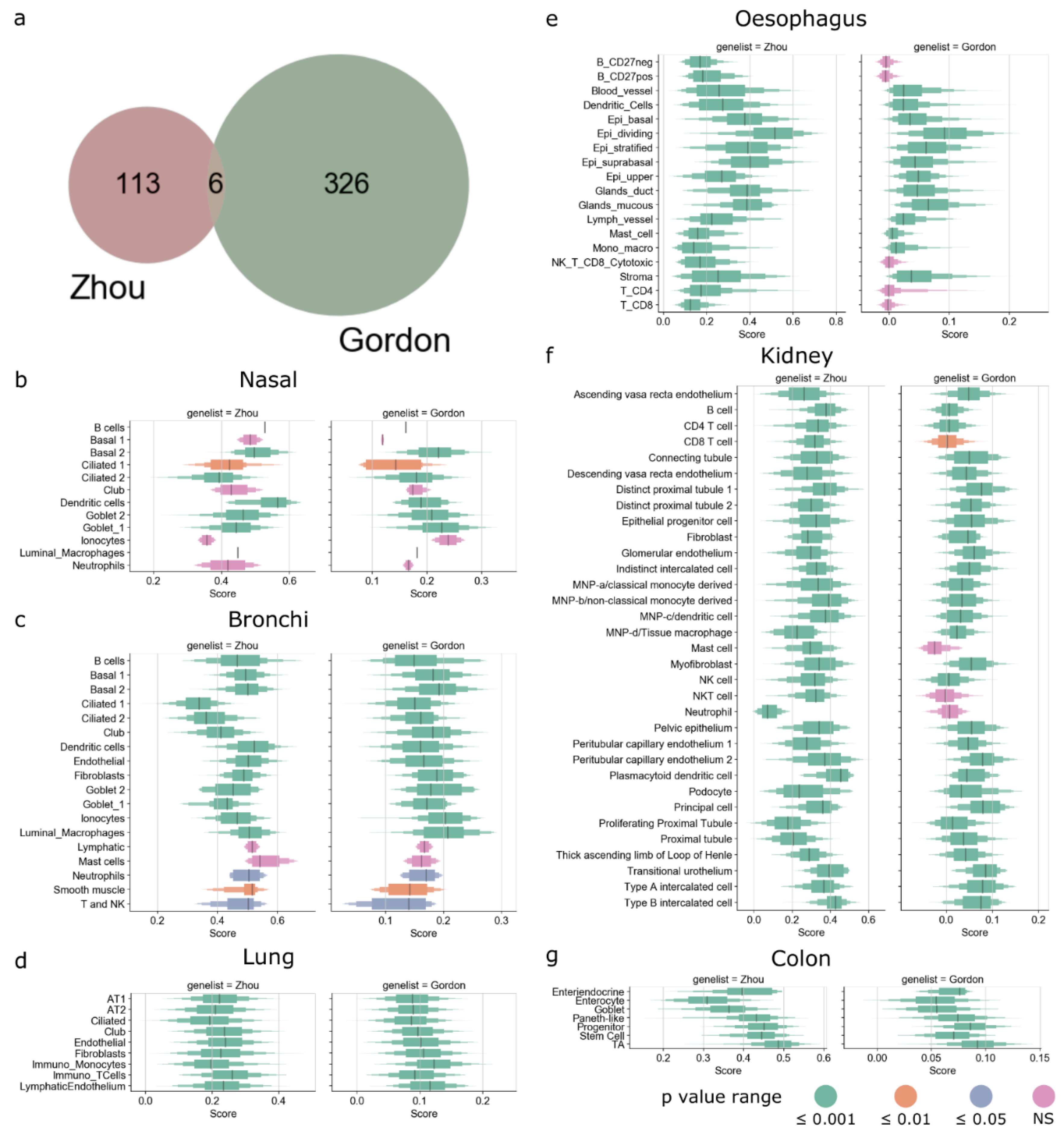 Viruses 13 01757 g002
