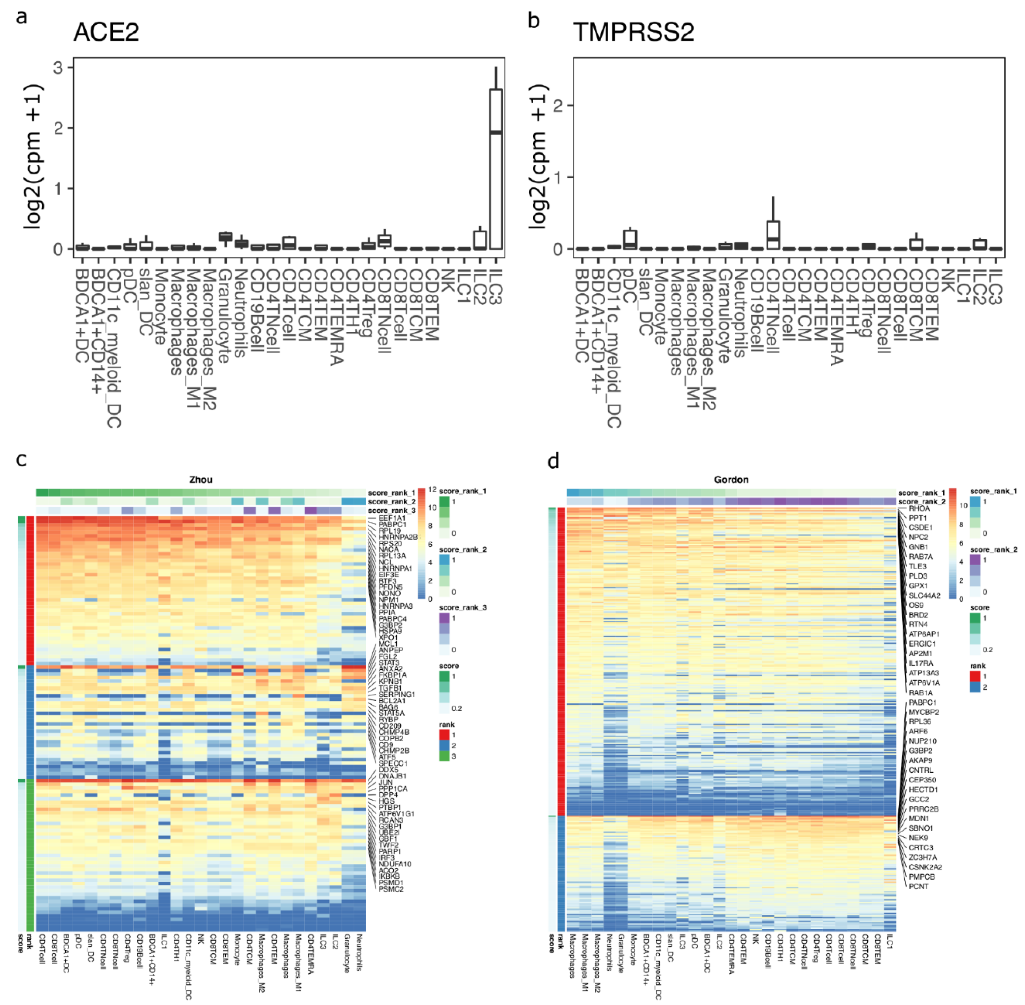 Viruses 13 01757 g003