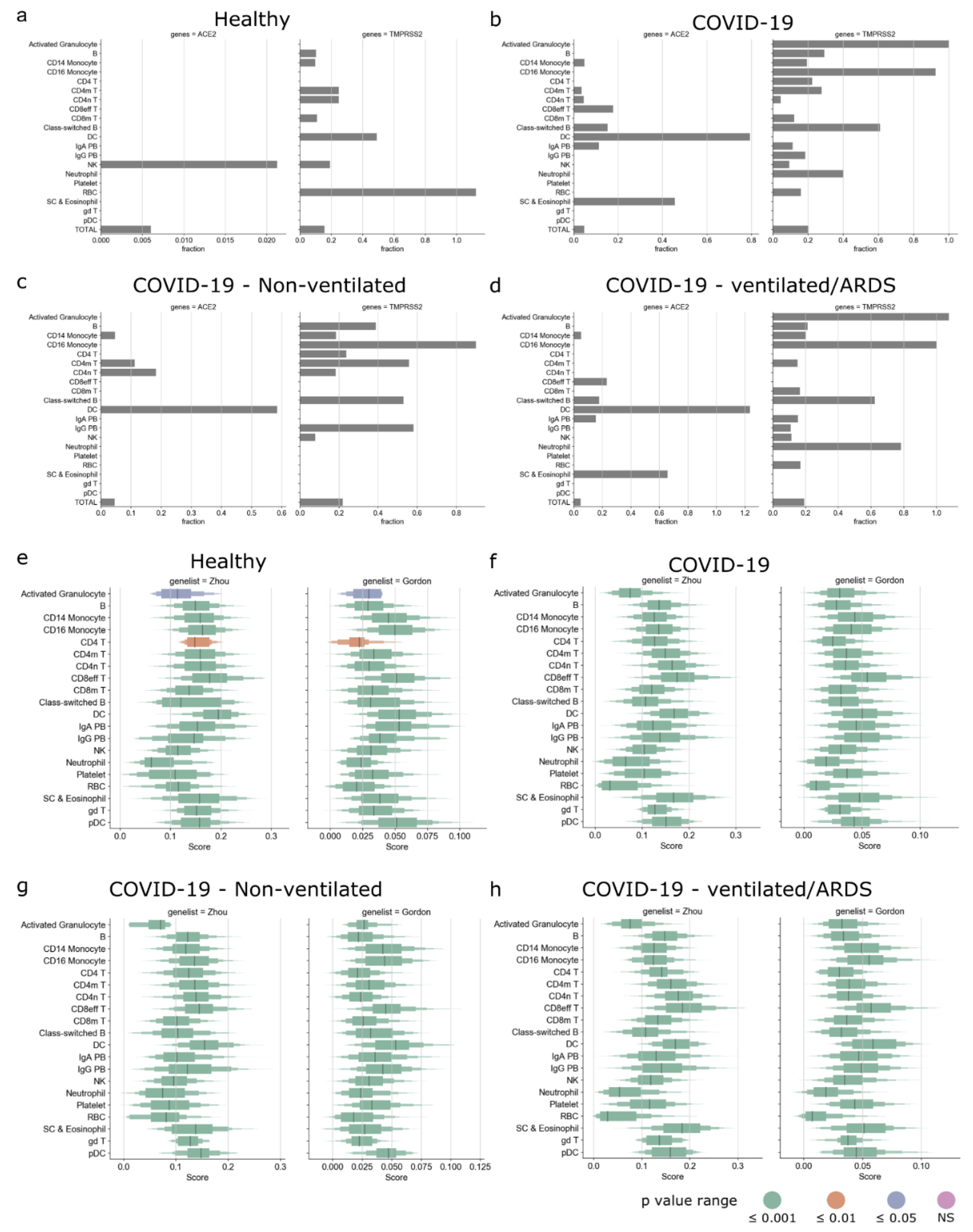 Viruses 13 01757 g004