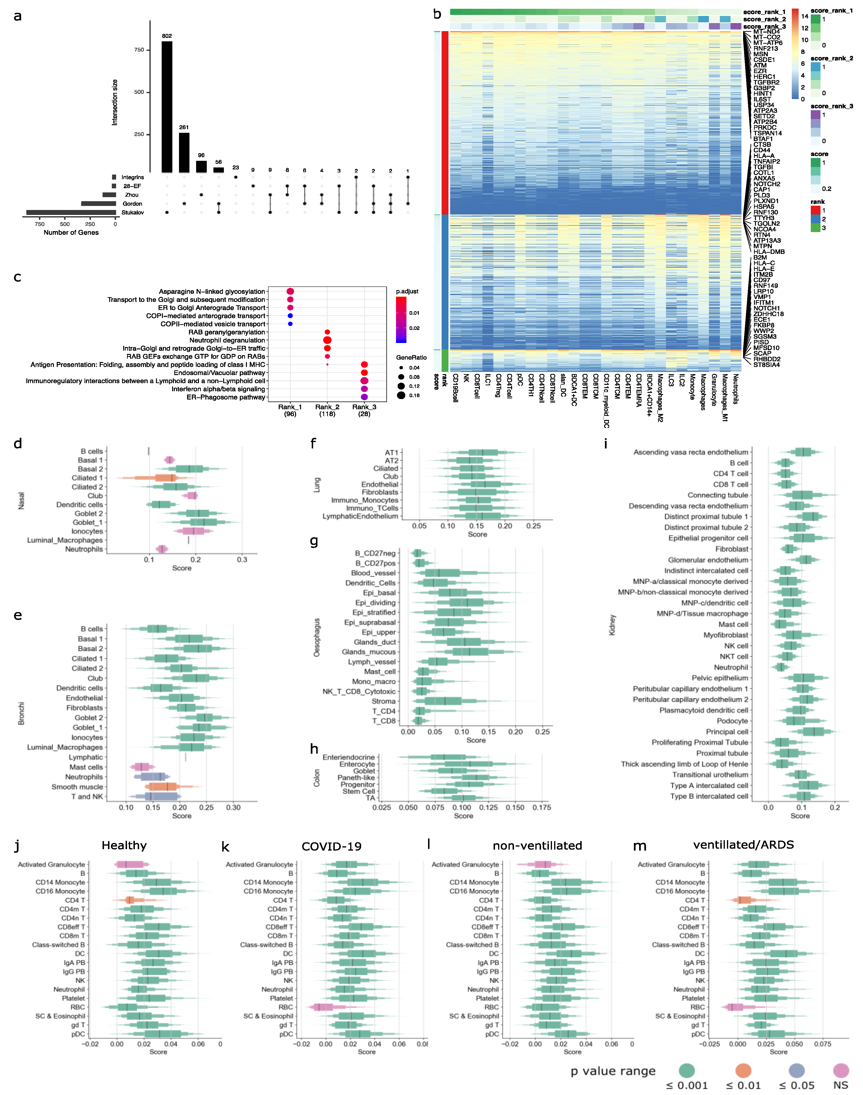 Viruses 13 01757 g005