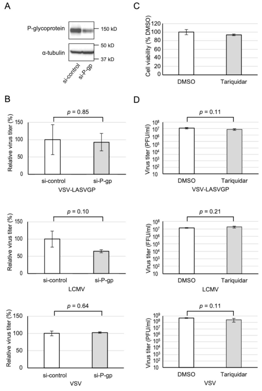 Viruses 13 01763 g004