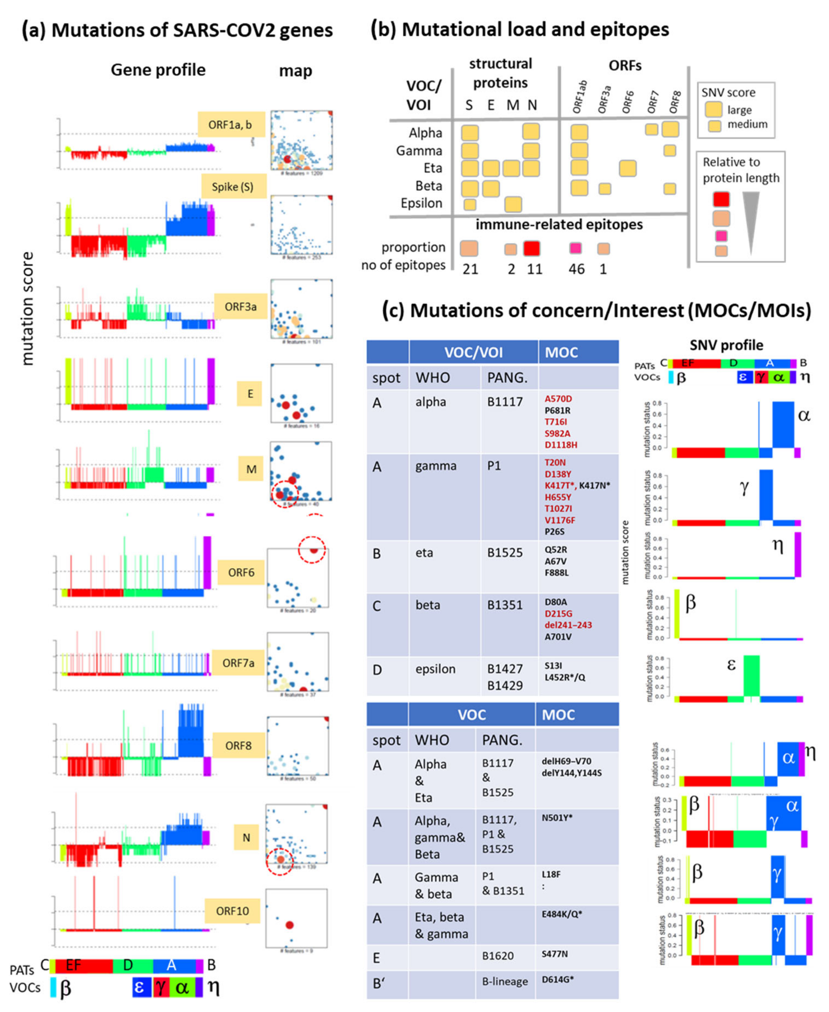 Viruses 13 01764 g007 550