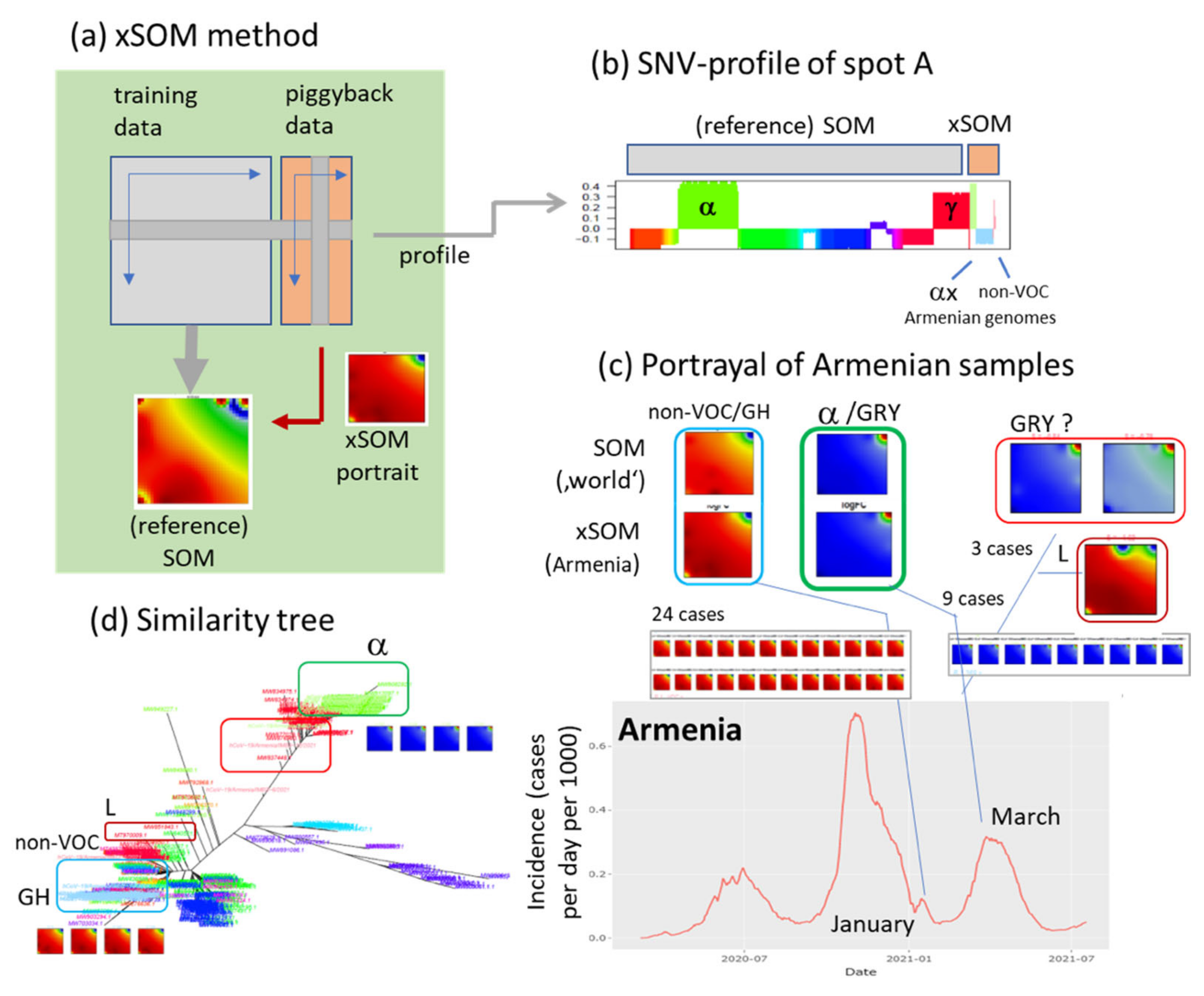Viruses 13 01764 g010 550