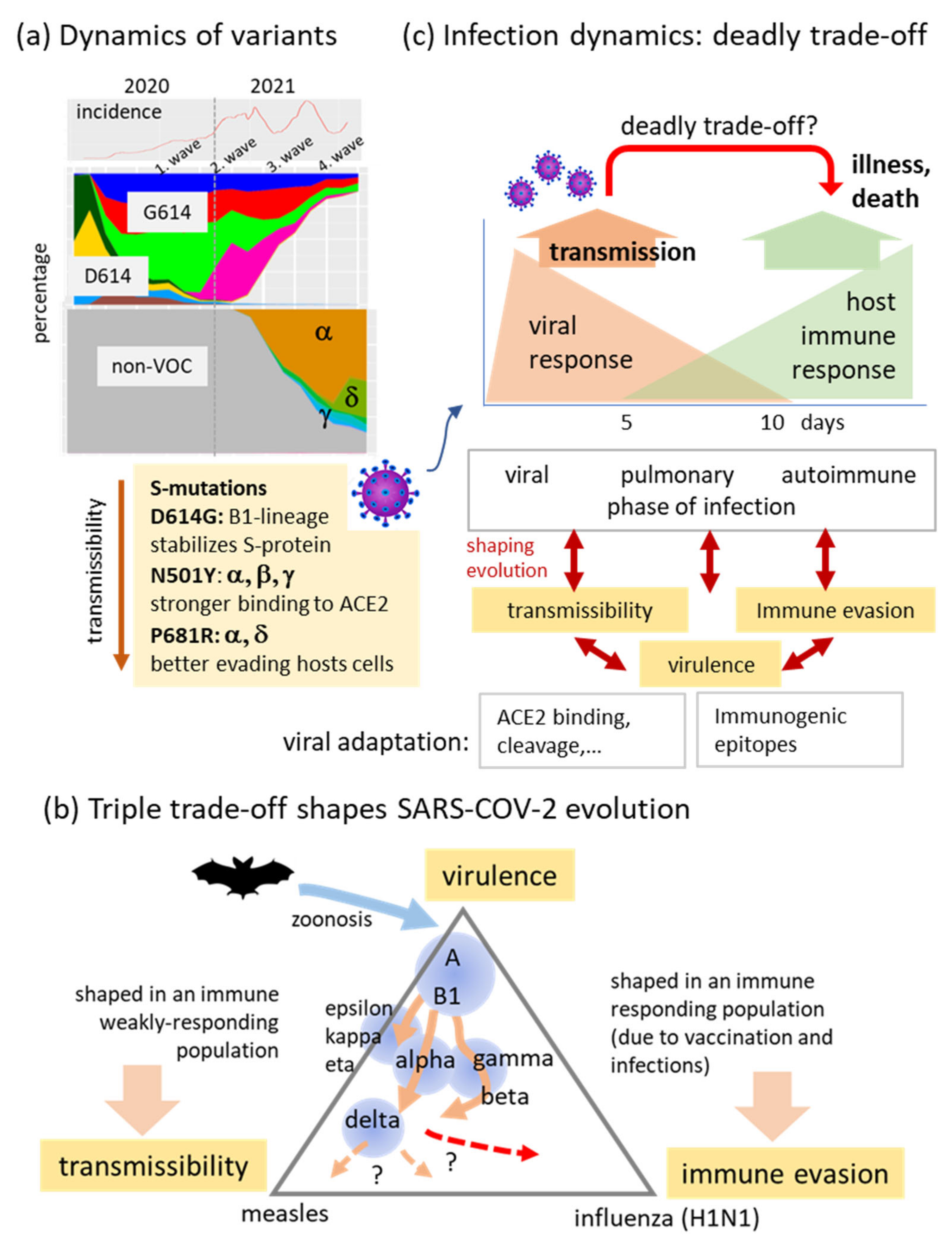 Viruses 13 01764 g011 550
