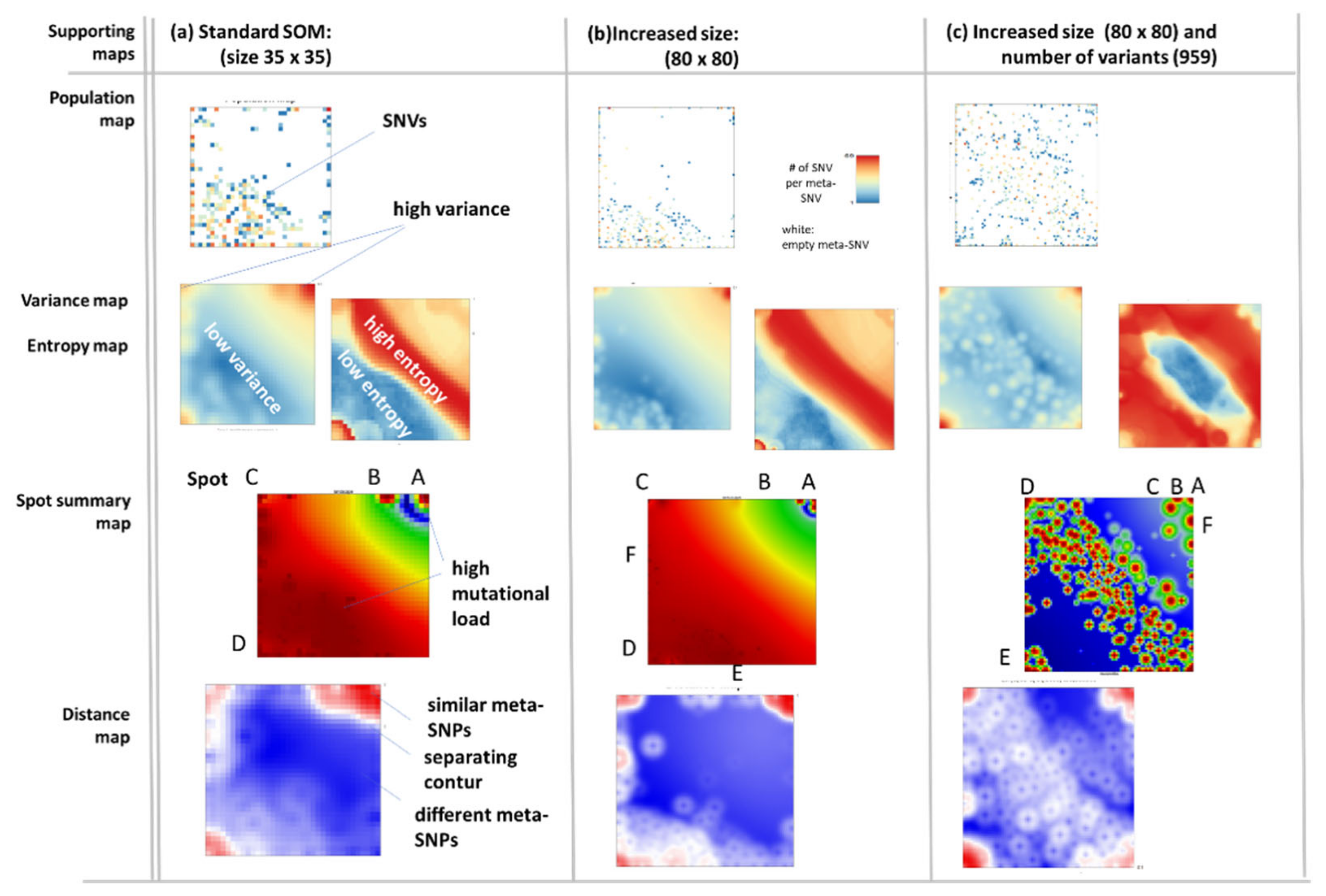 Viruses 13 01764 g0a1 550