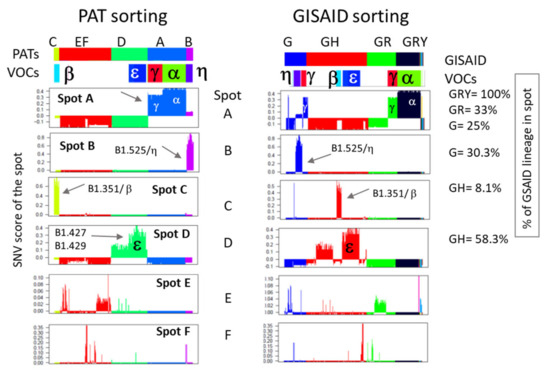 The Evolving Faces of the SARS-CoV-2 Genome