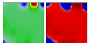 Viruses 13 01764 i005