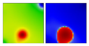 Viruses 13 01764 i033