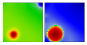 Viruses 13 01764 i034