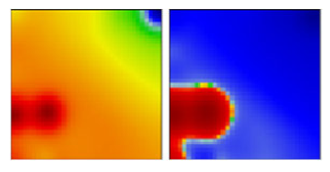 Viruses 13 01764 i035