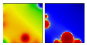 Viruses 13 01764 i039