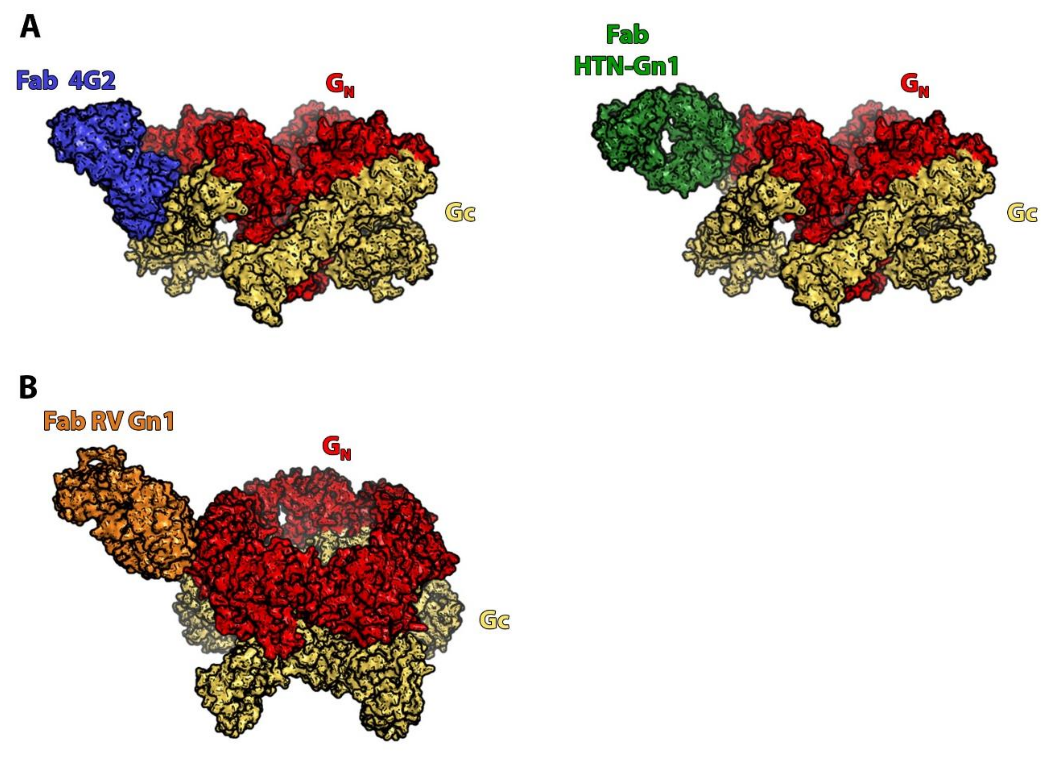 Viruses 13 01766 g003 Viruses 13 01766 g003