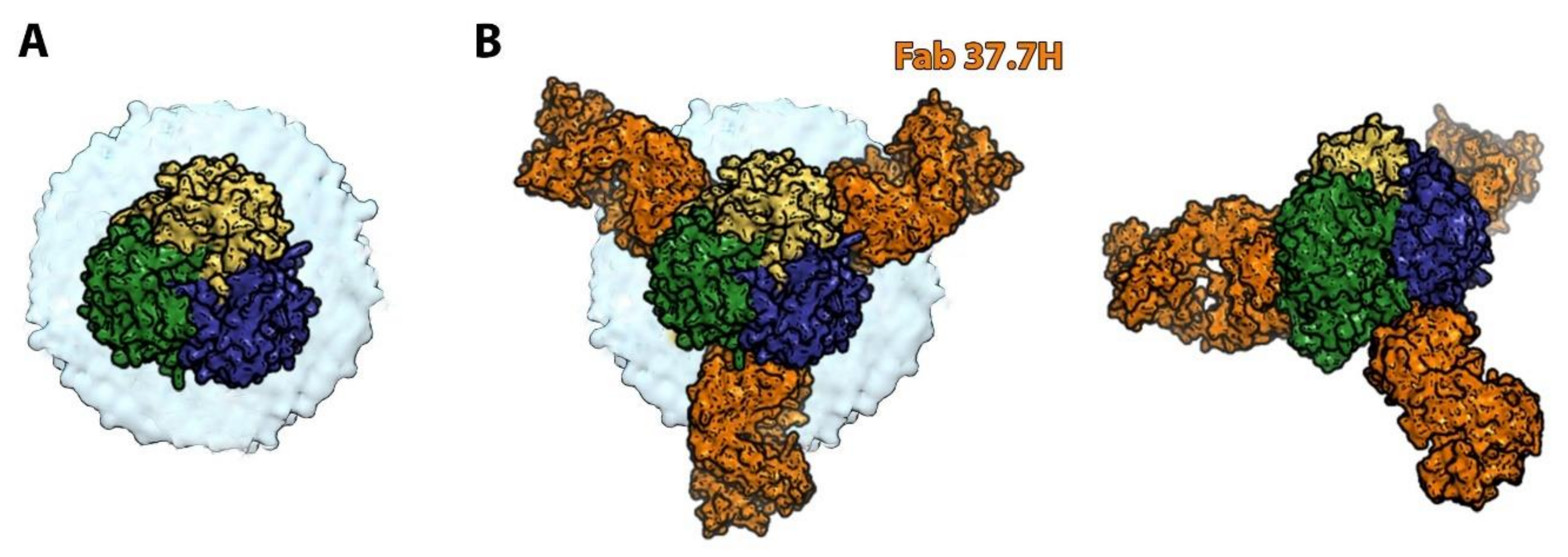 Viruses 13 01766 g004 Viruses 13 01766 g004