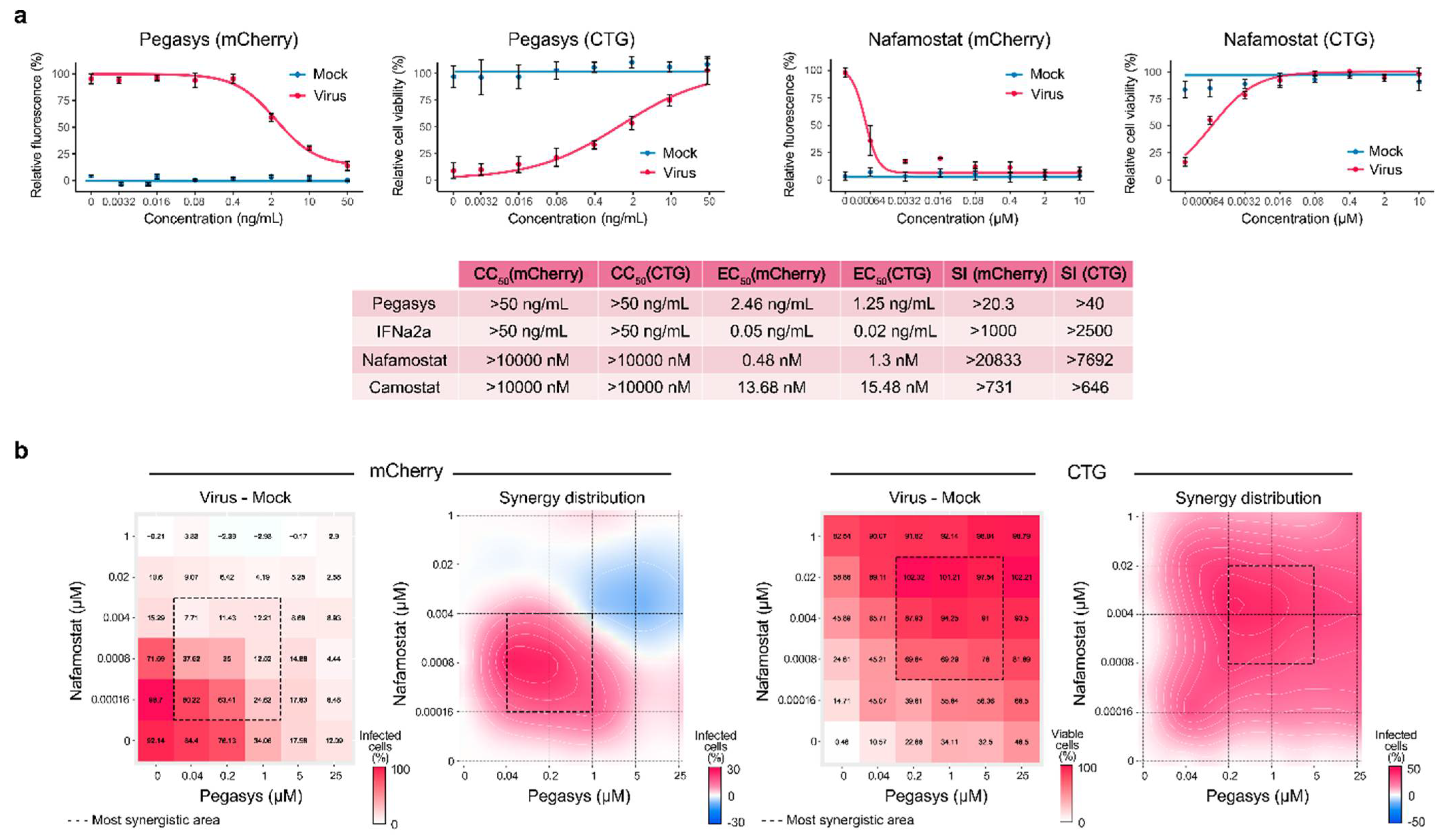 New Drug Combination Effective Against SARS-CoV-2 Infection