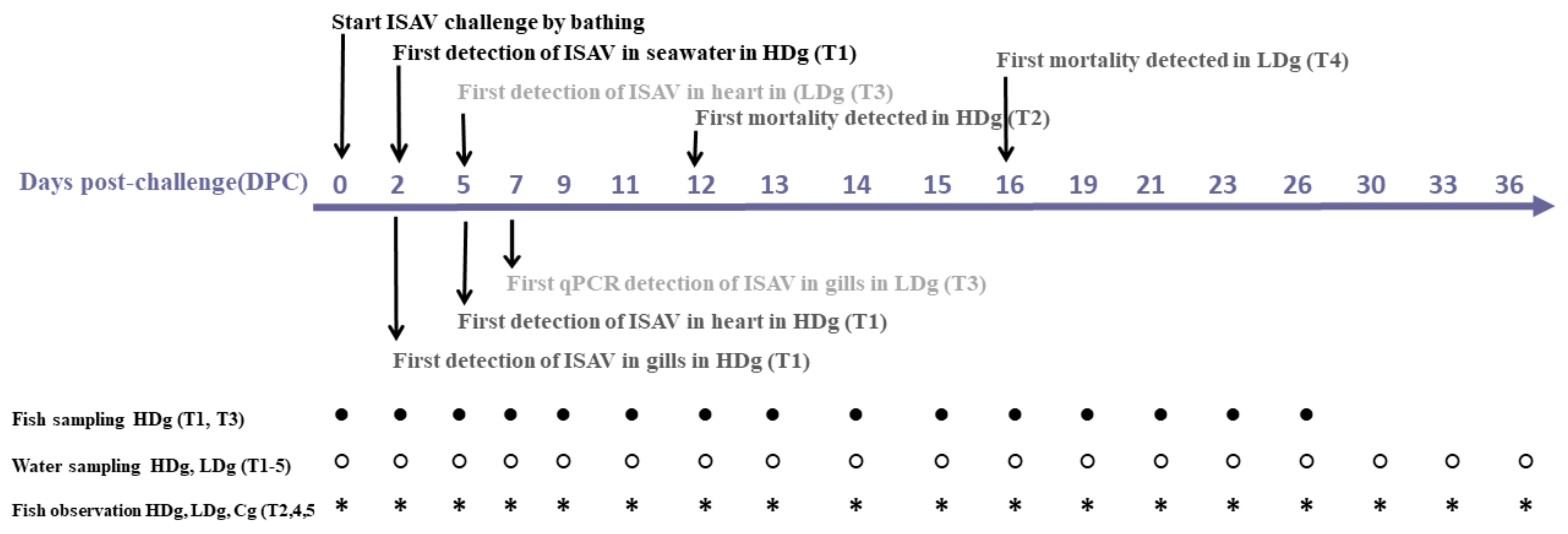 Viruses 13 01770 g001 550