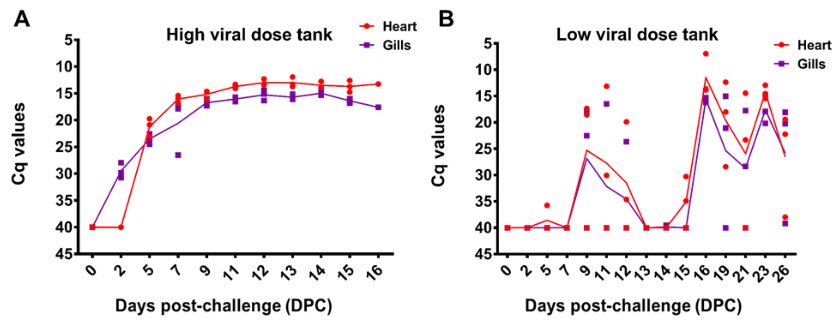 Viruses 13 01770 g004 550