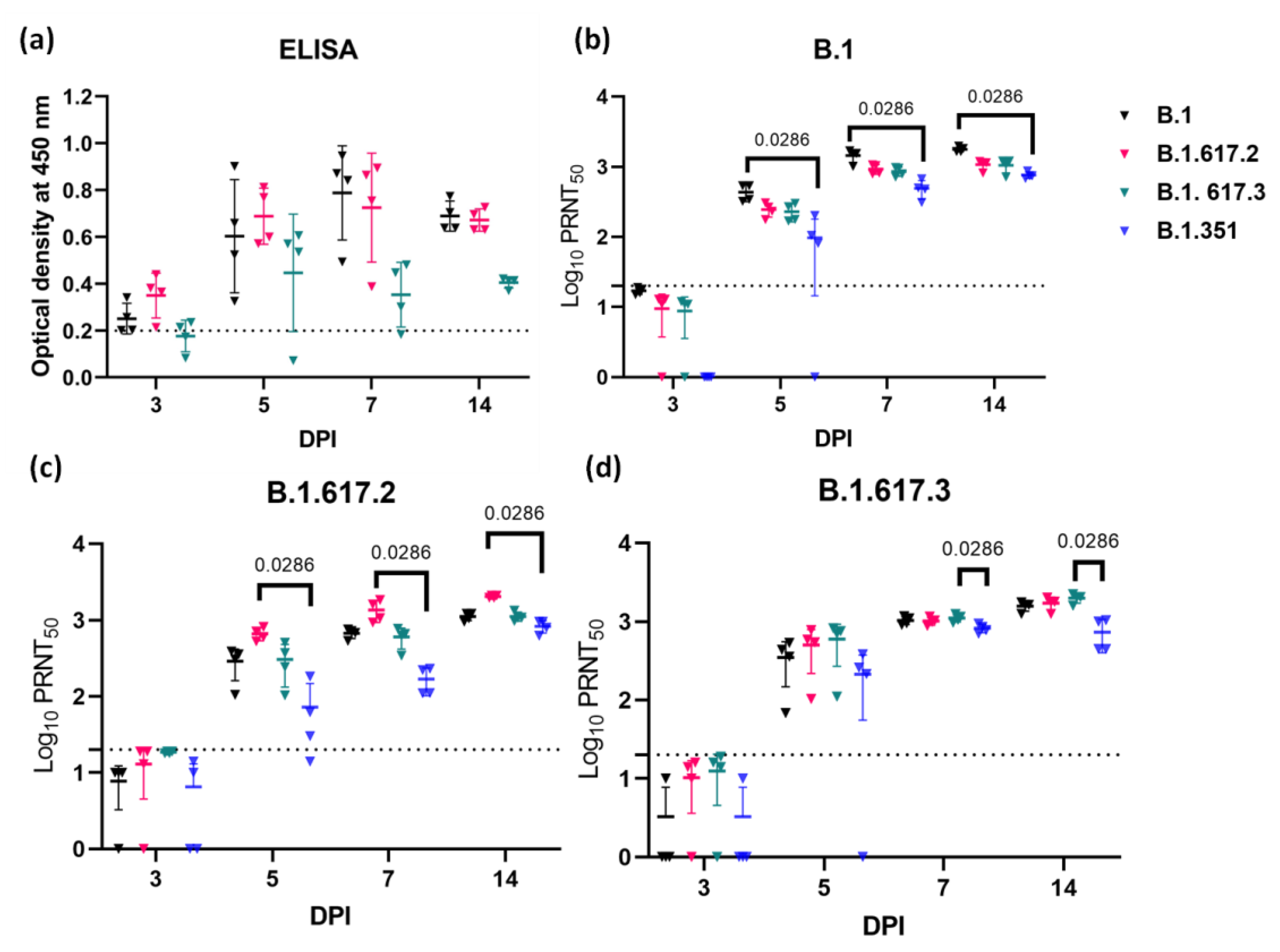 Viruses 13 01773 g003