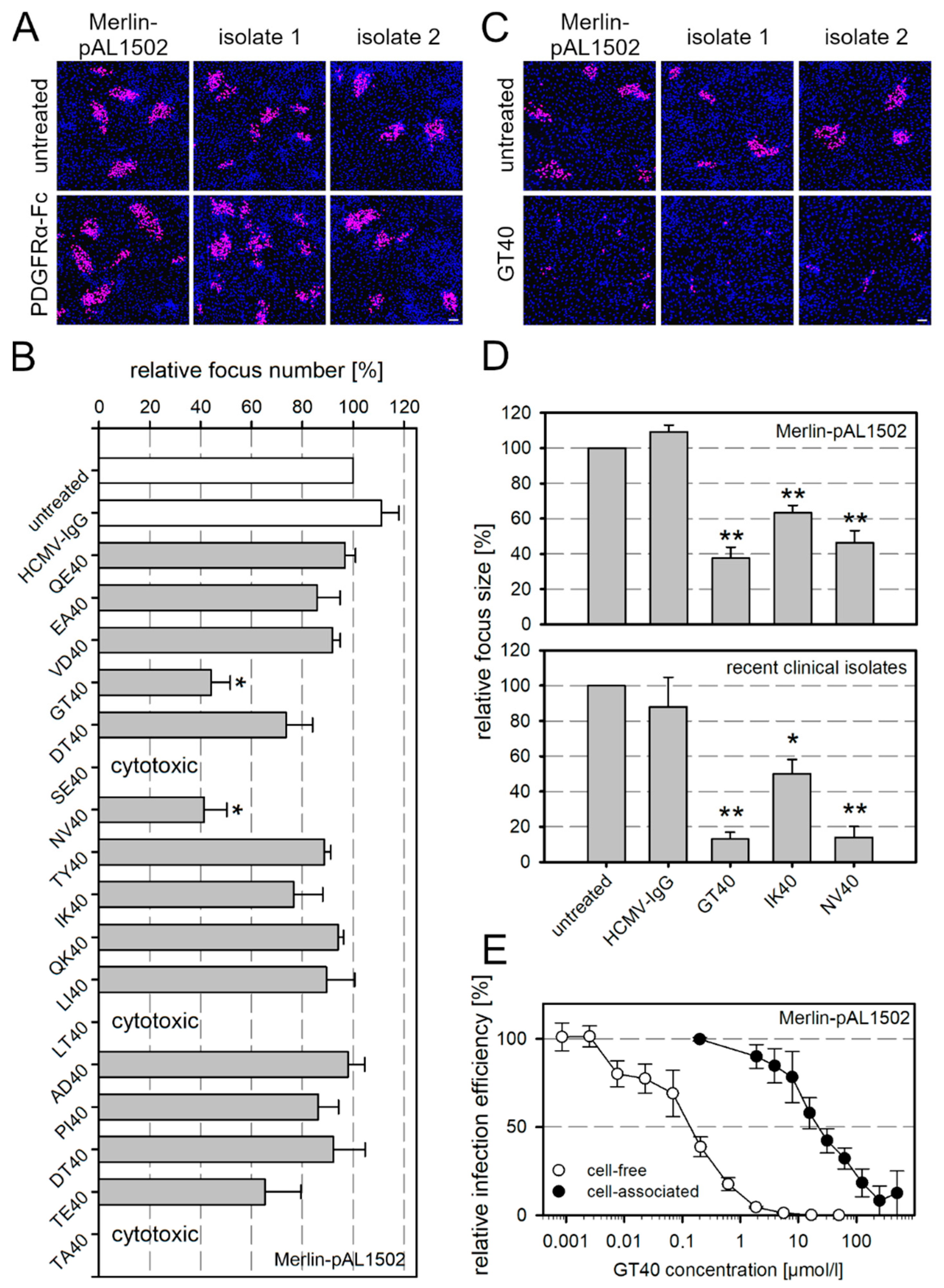 Viruses 13 01780 g001