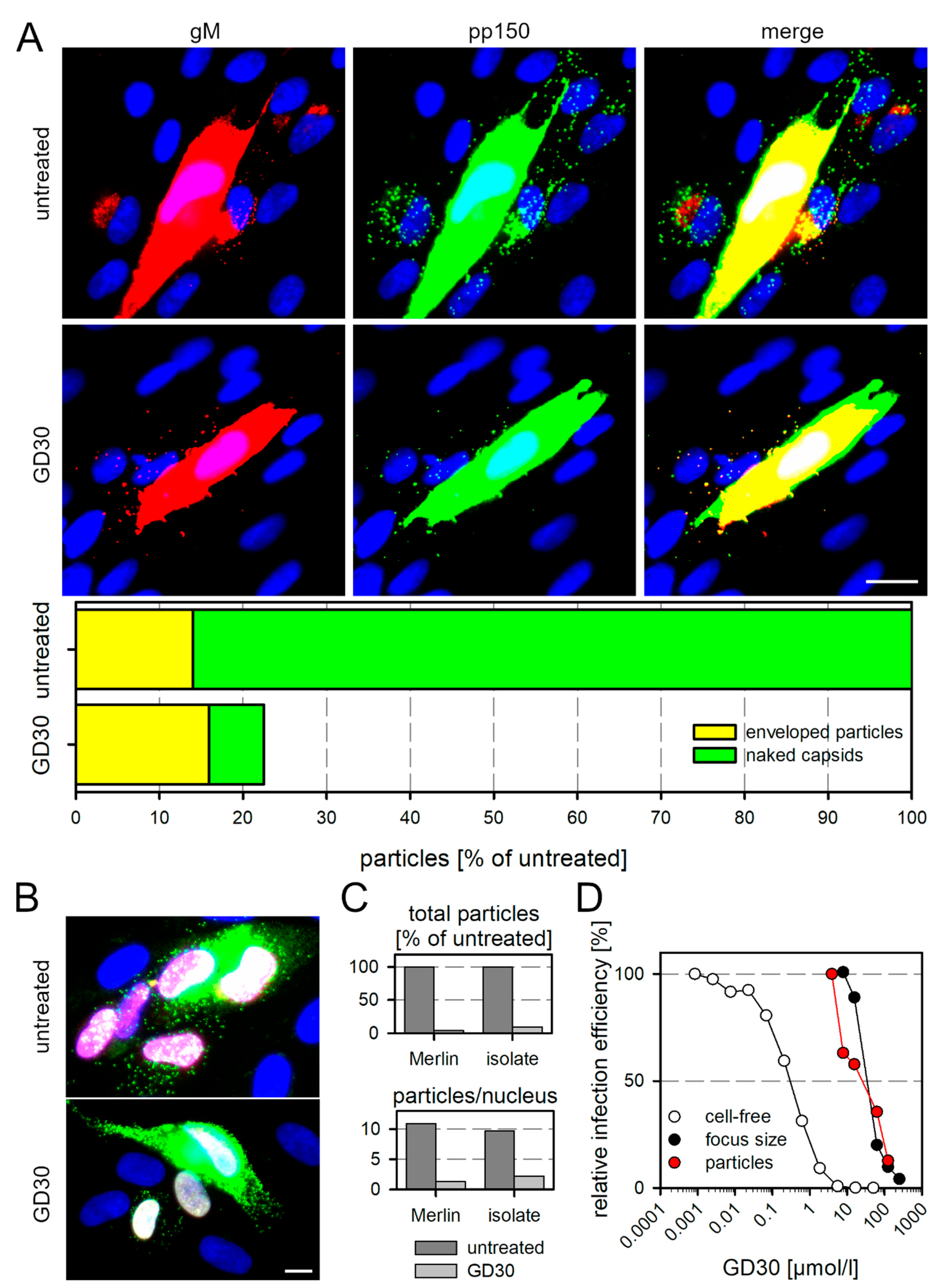 Viruses 13 01780 g003