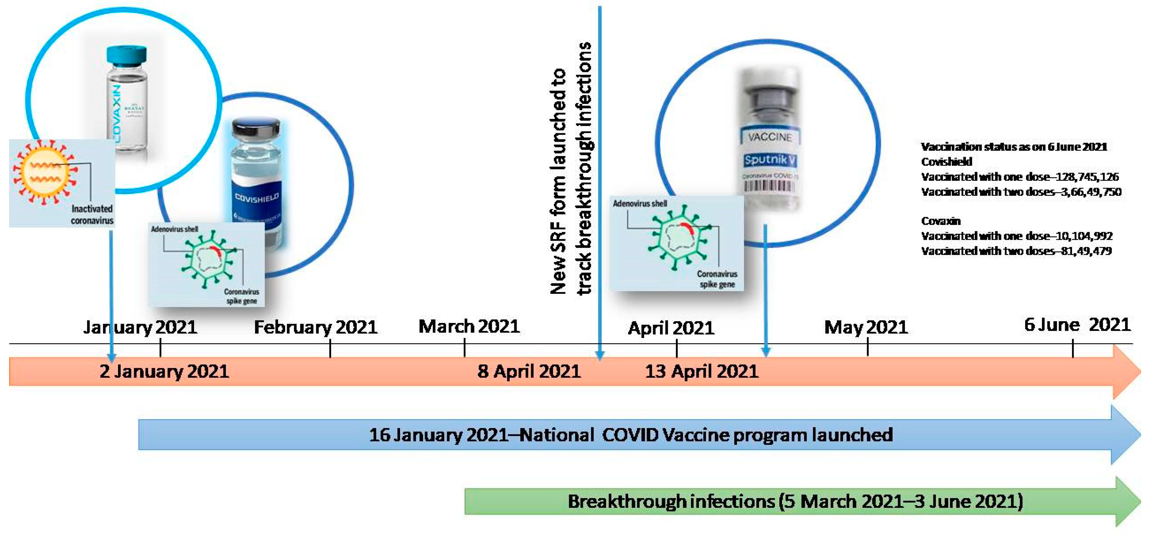 Viruses 13 01782 g001