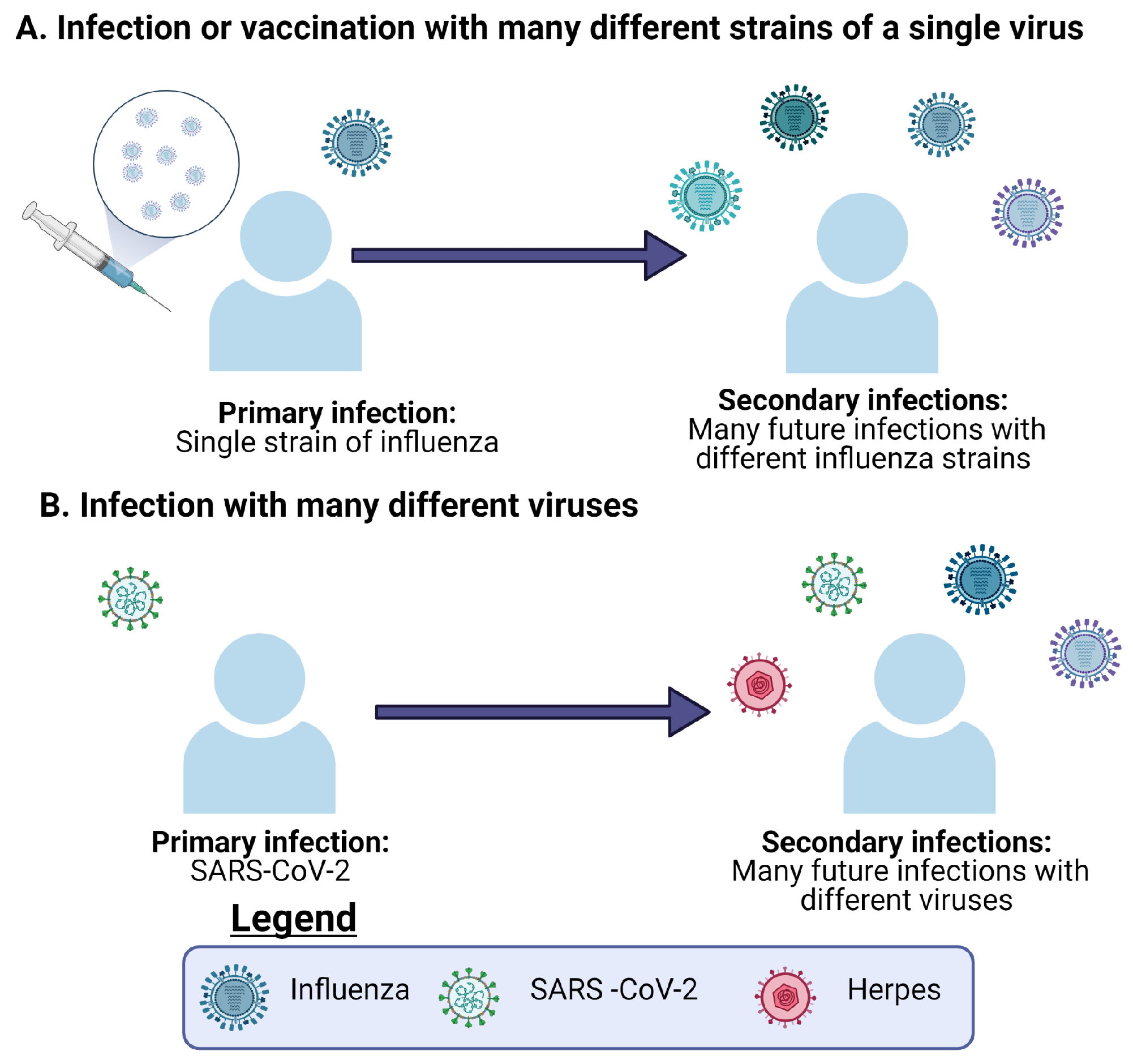 Viruses 13 01786 g002 Viruses 13 01786 g002