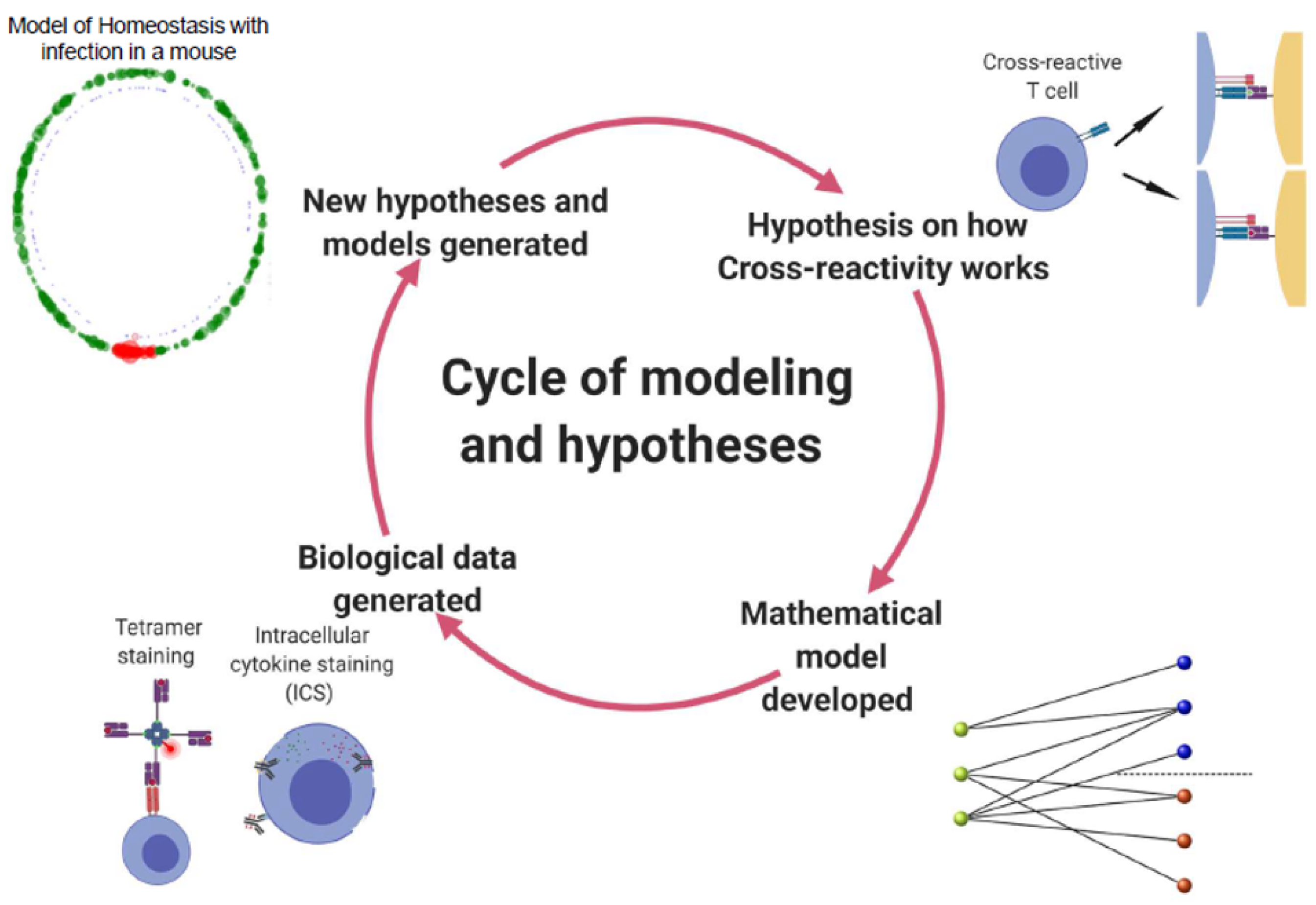 Viruses 13 01786 g003 Viruses 13 01786 g003