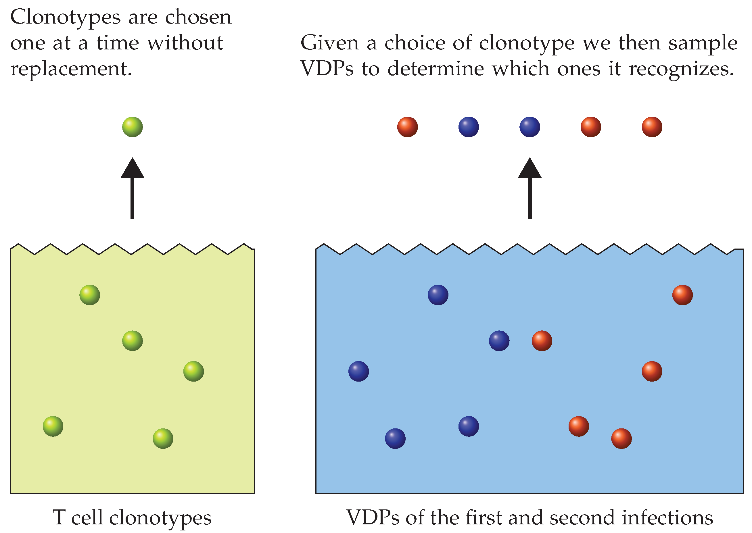 Viruses 13 01786 g007 Viruses 13 01786 g007