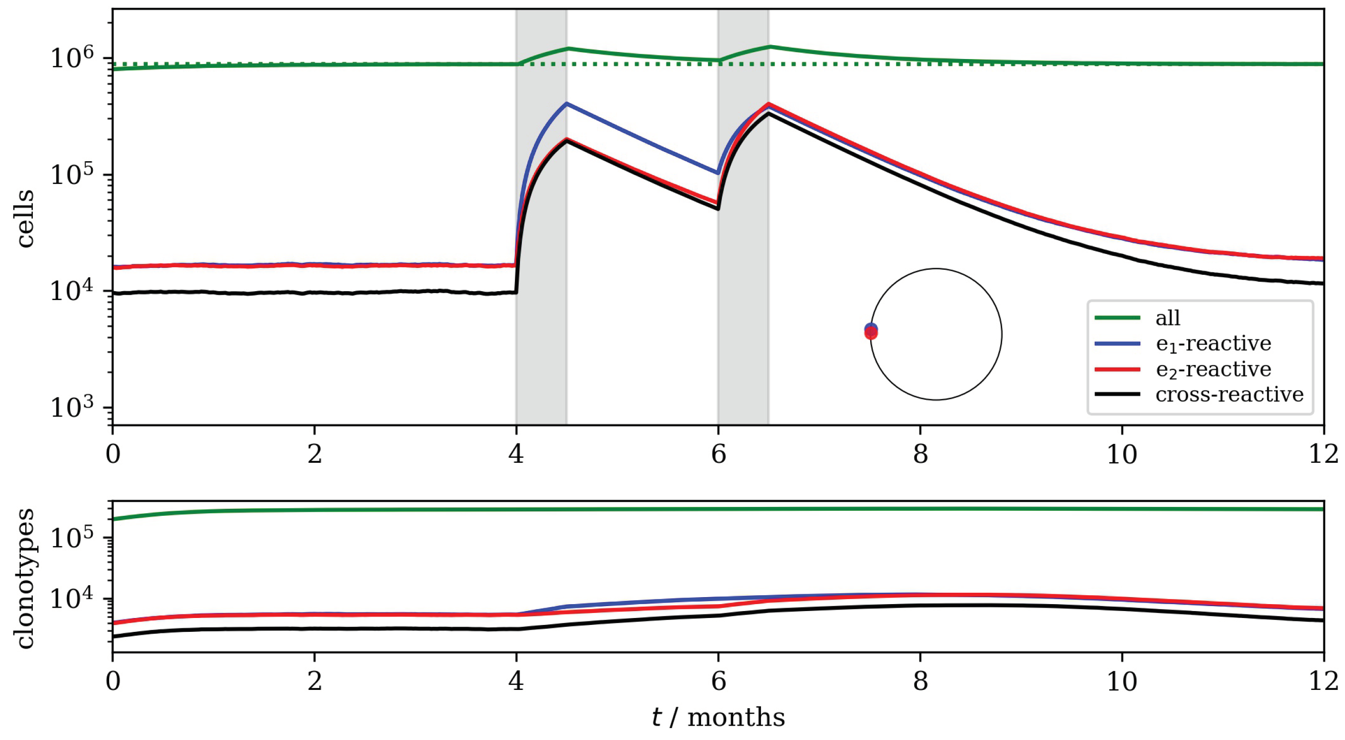 Viruses 13 01786 g015 Viruses 13 01786 g015