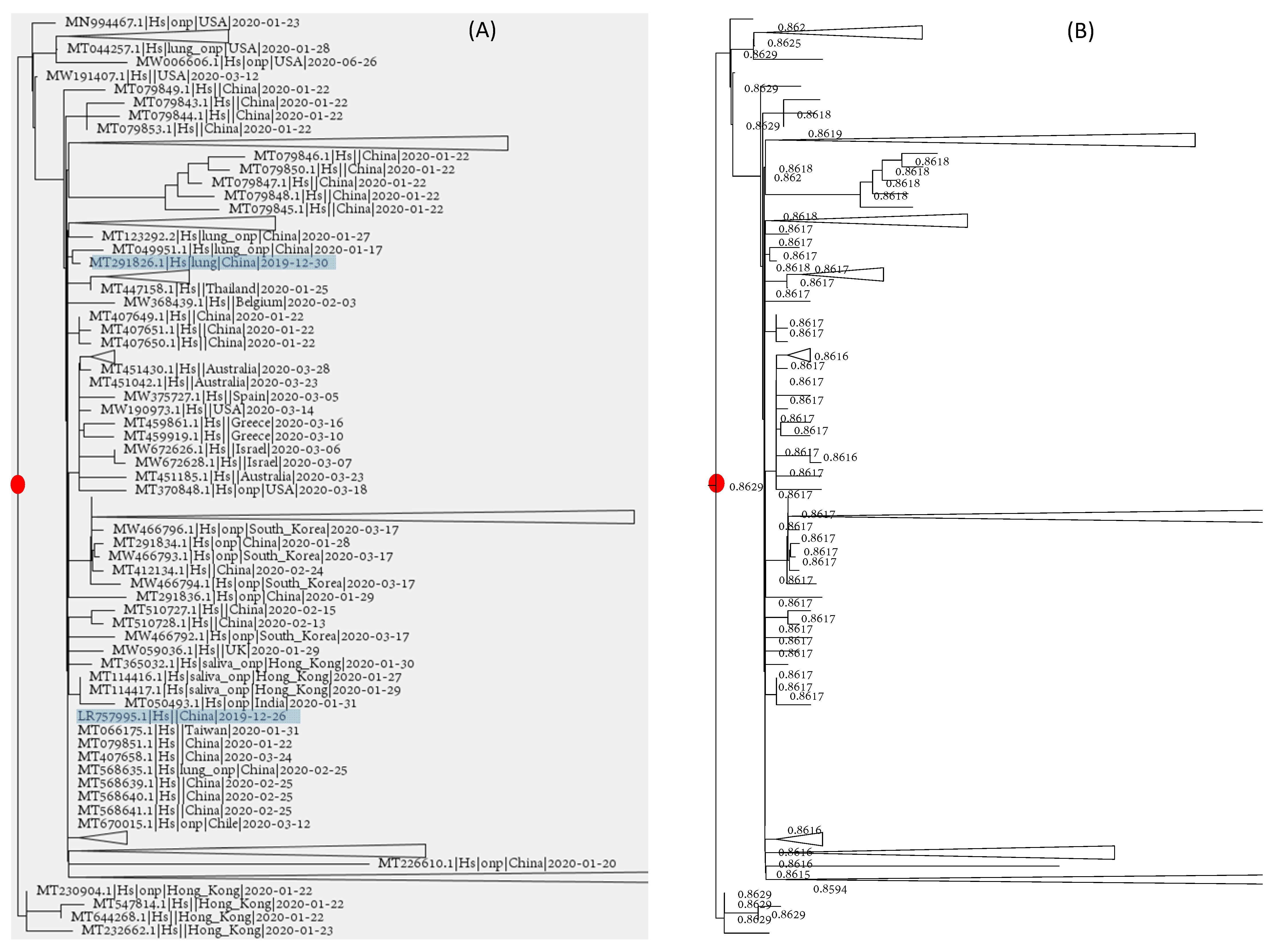 Viruses 13 01790 g005 550
