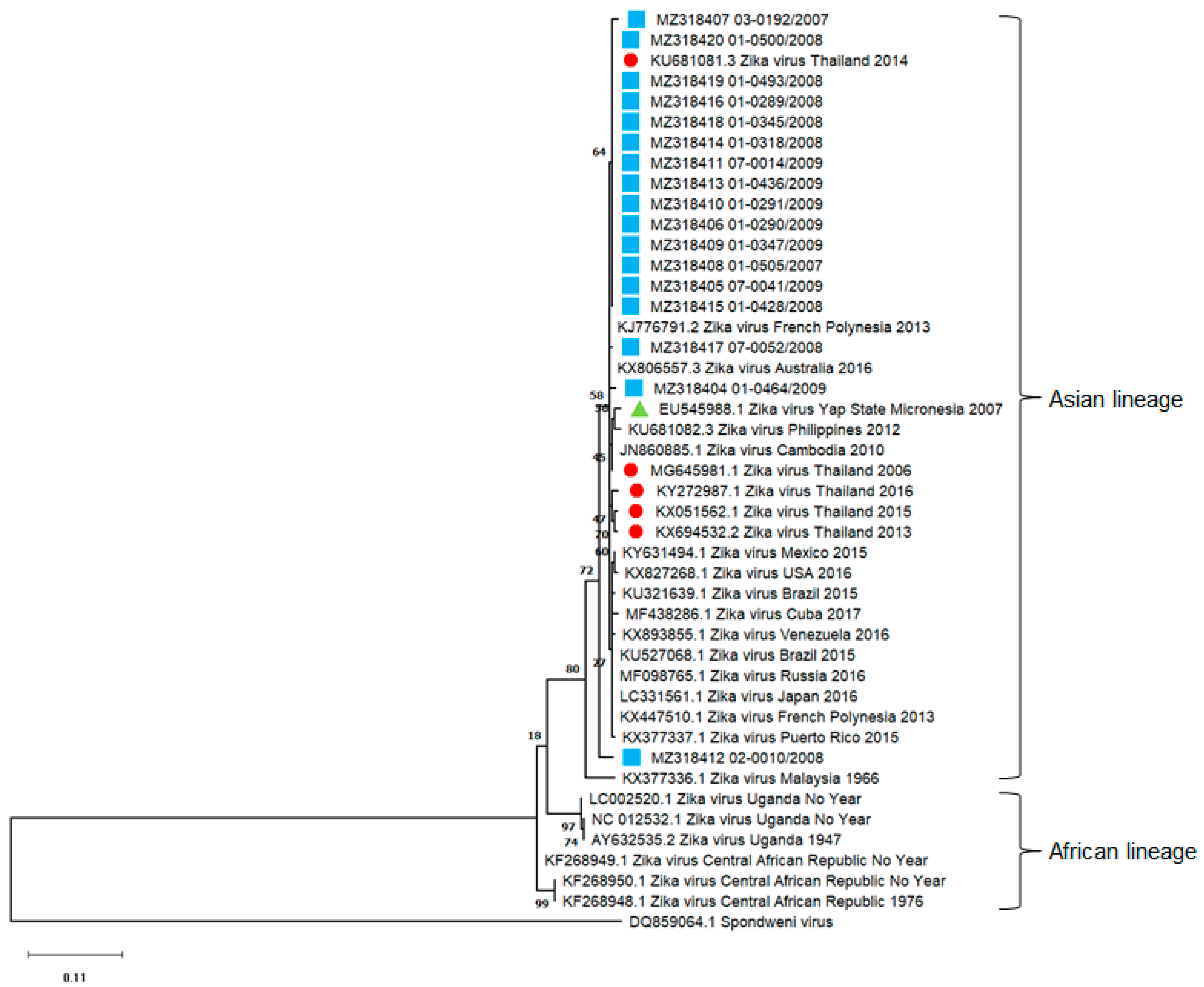 Viruses 13 01802 g005