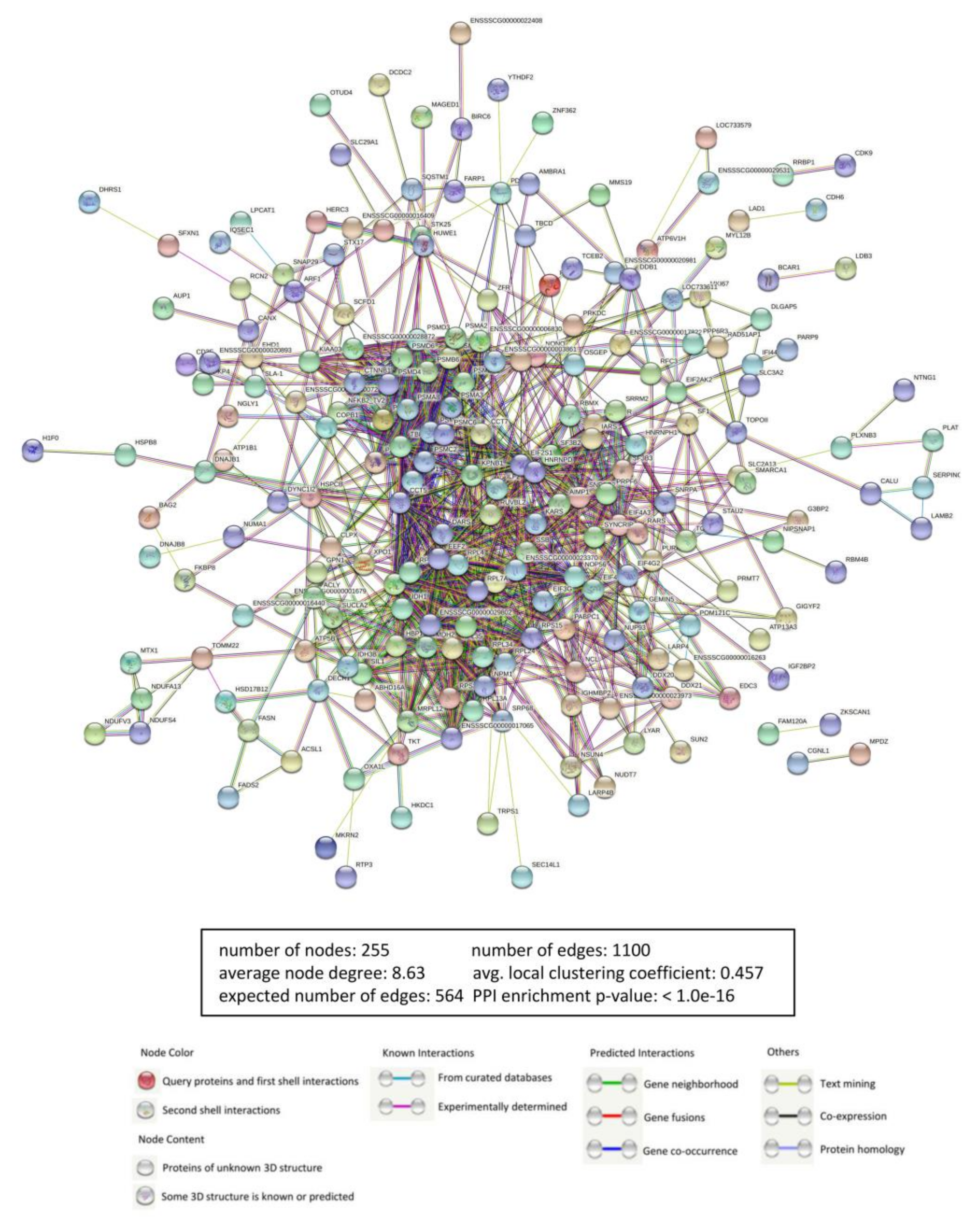 Viruses 13 01804 g002 550