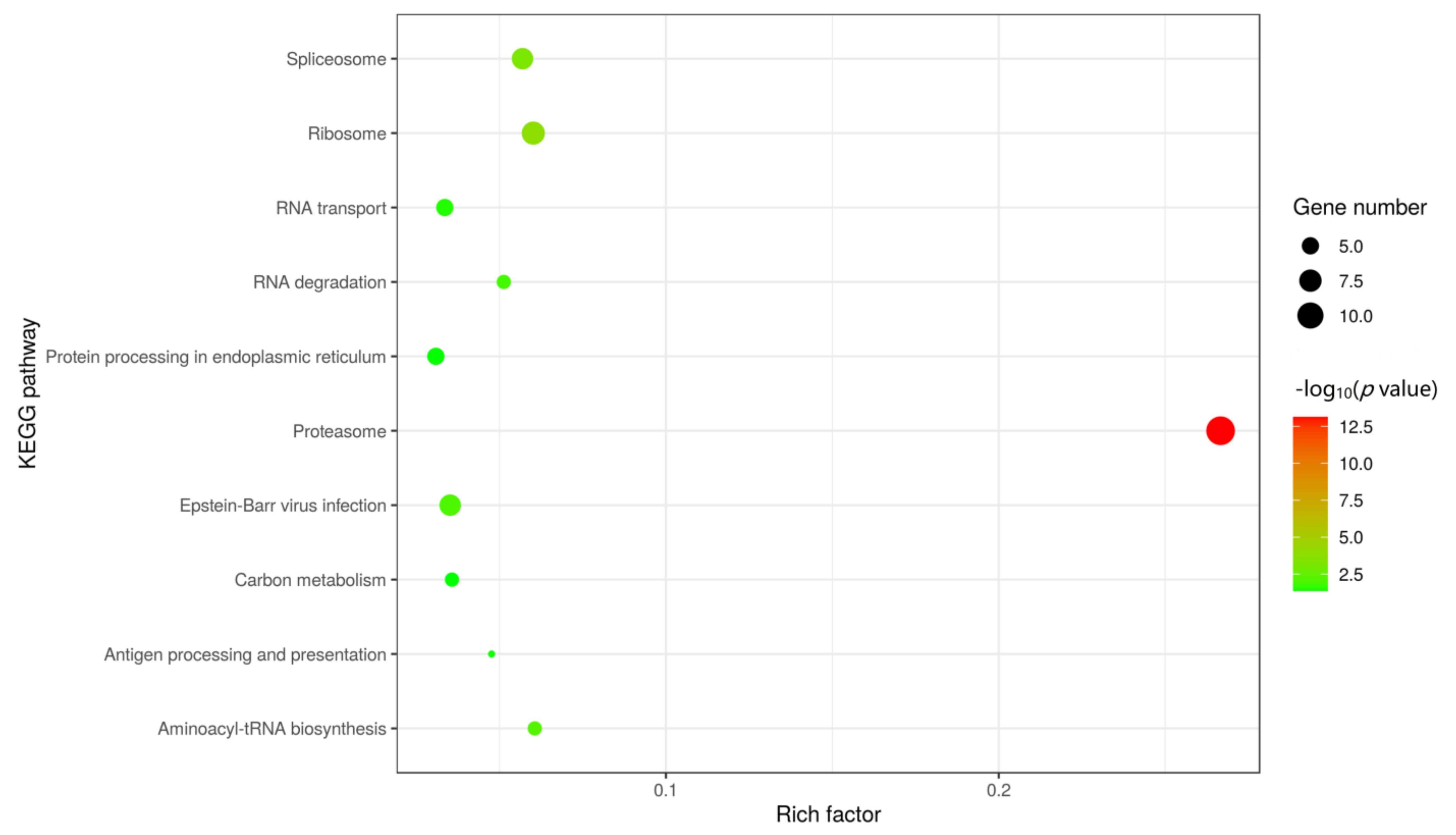 Viruses 13 01804 g004 550