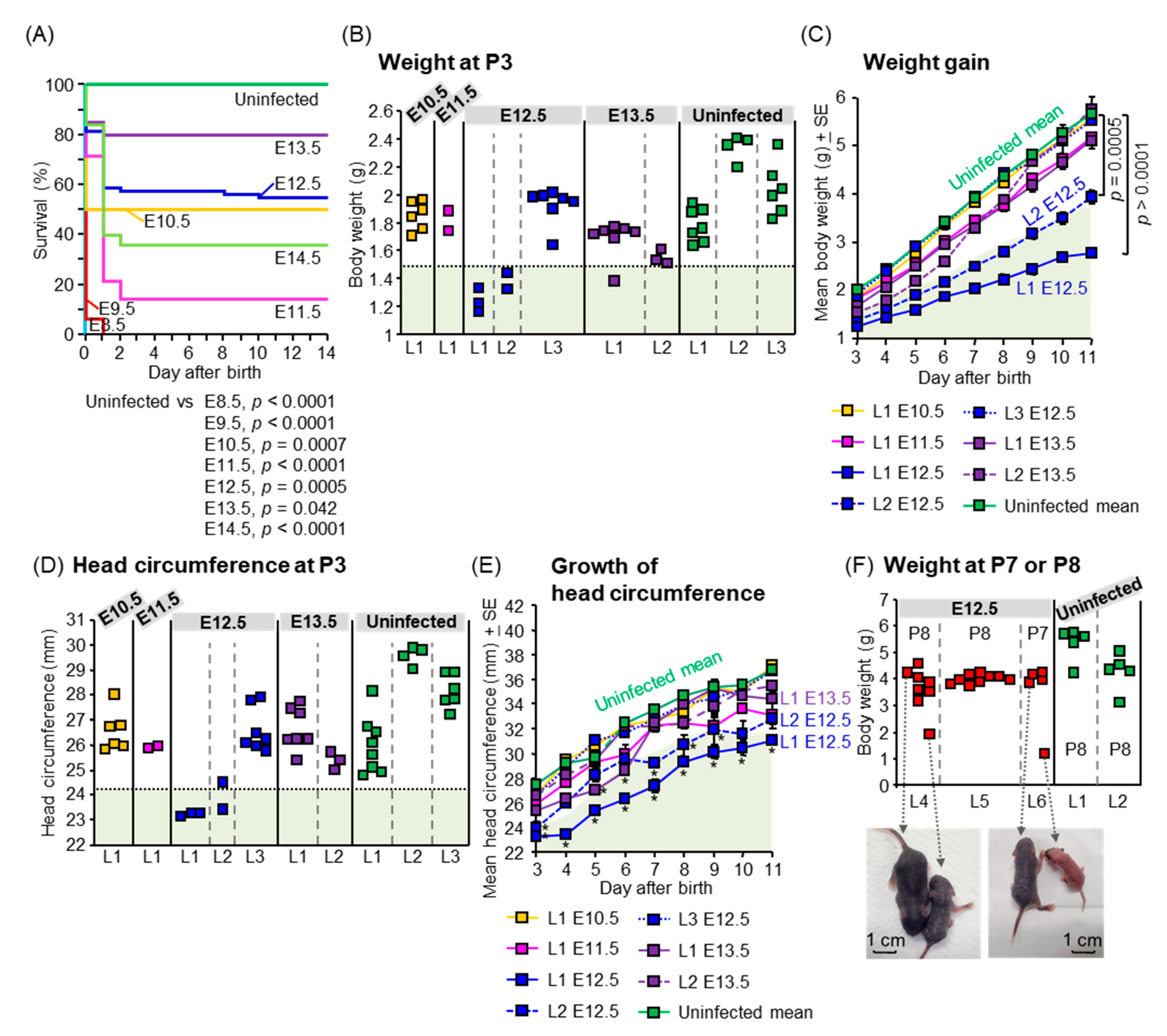 Viruses 13 01807 g003a