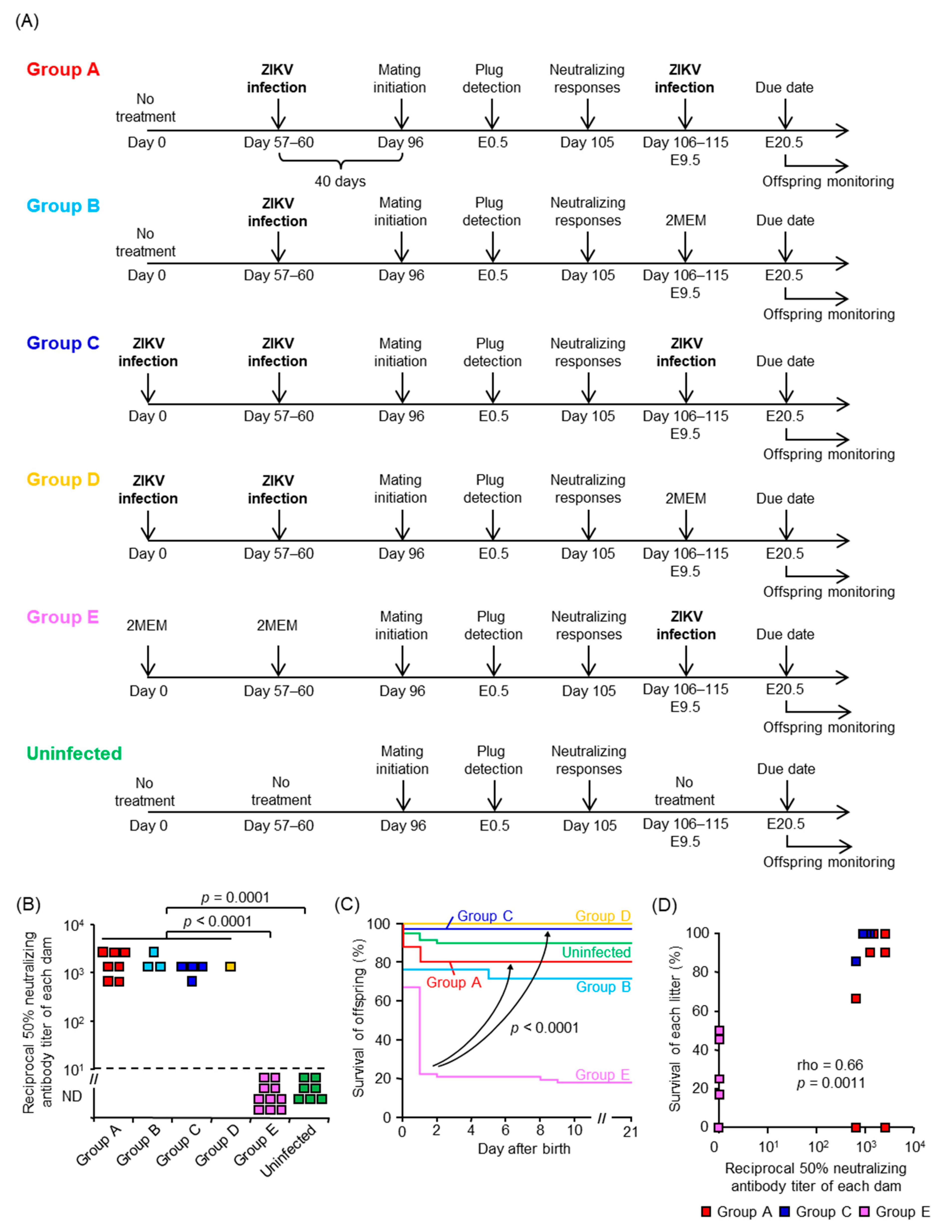 Viruses 13 01807 g004