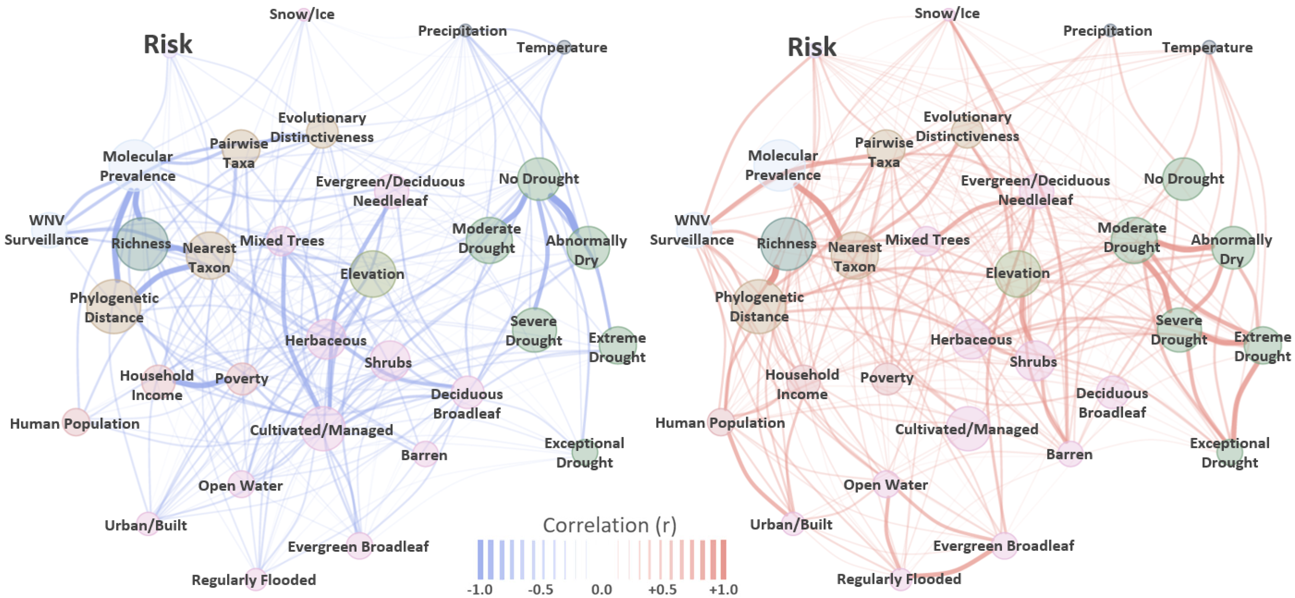 Viruses 13 01811 g001