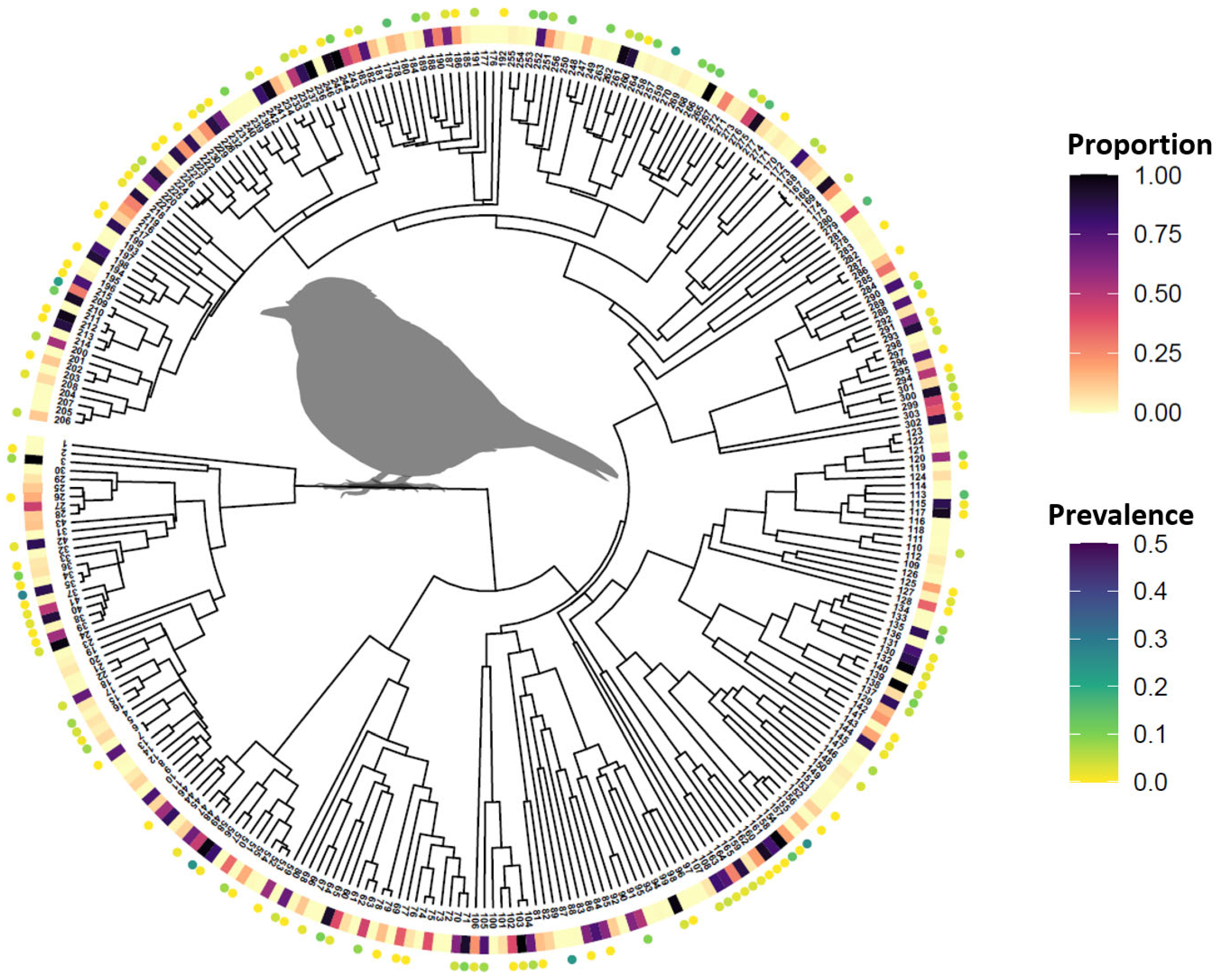 Viruses 13 01811 g003