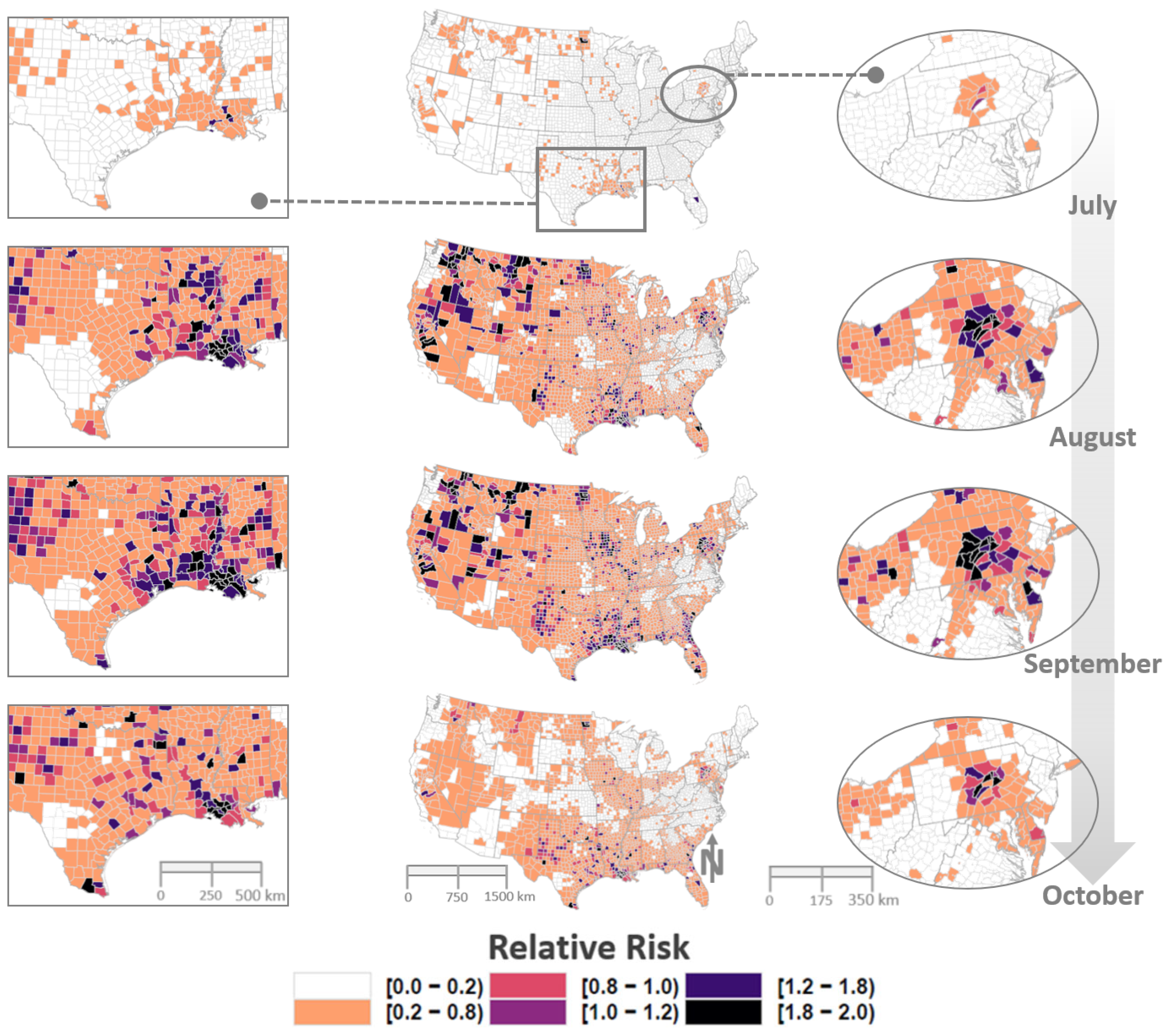 Viruses 13 01811 g009