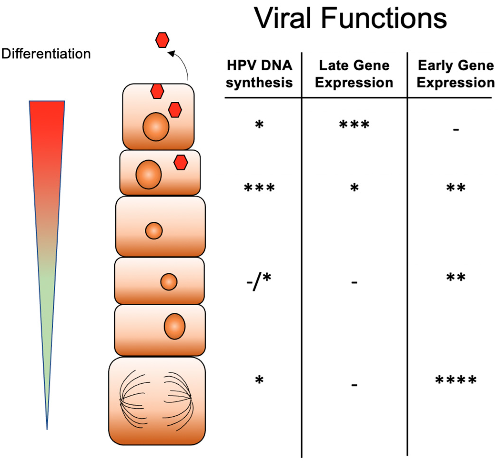 Viruses 13 01821 g001 Viruses 13 01821 g001