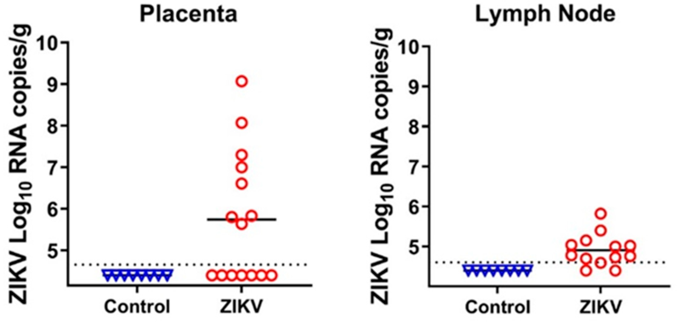 Viruses 13 01827 g002