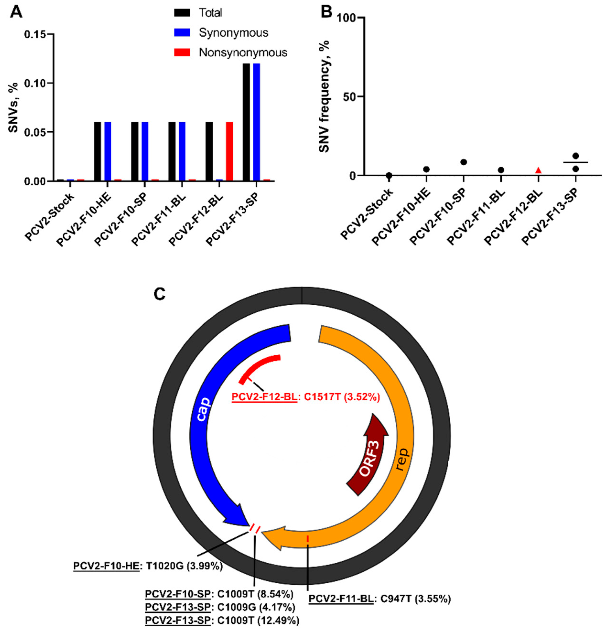Viruses 13 01827 g006