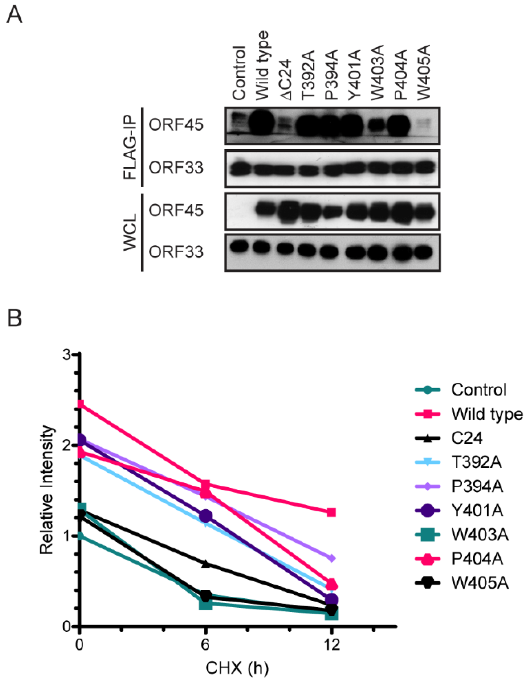 Viruses 13 01828 g005